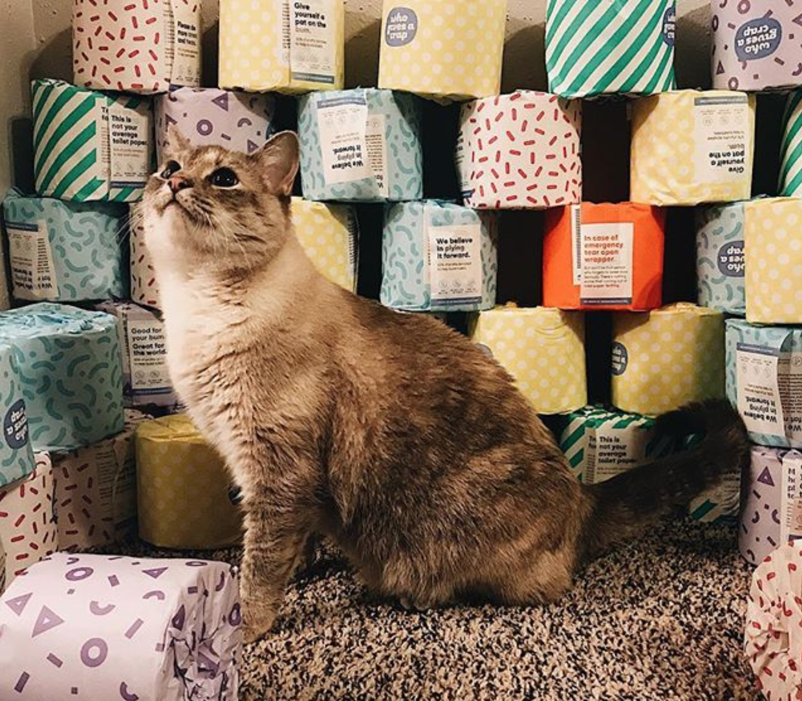 Screen Shot 2563-07-13 at 12.33.32.png