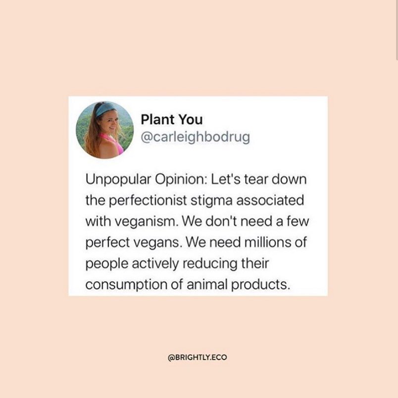 Say it louder for people in the BACK
-
Credit: @brightly.eco @plantyou