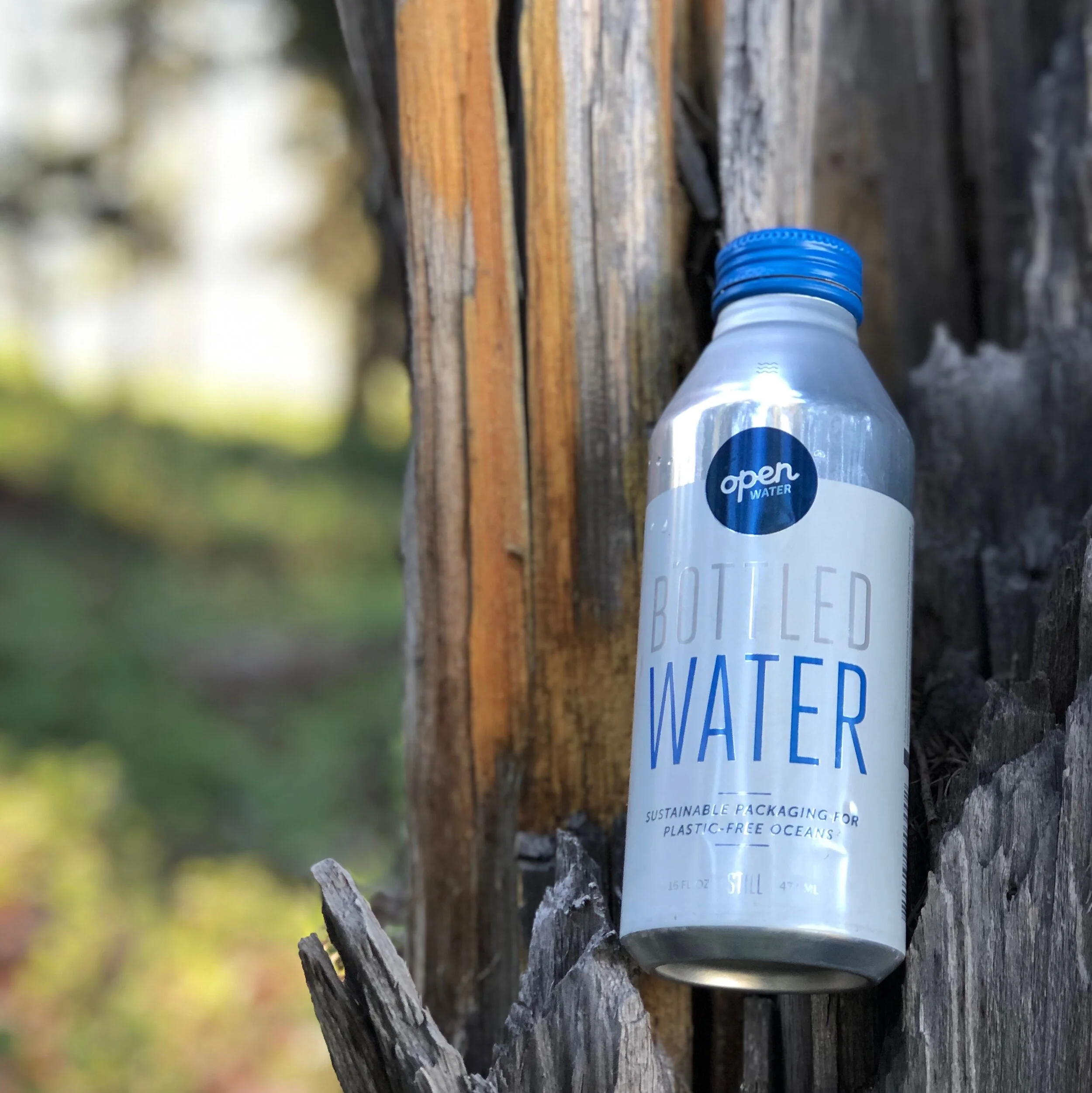 Aluminum Canned Water.jpeg