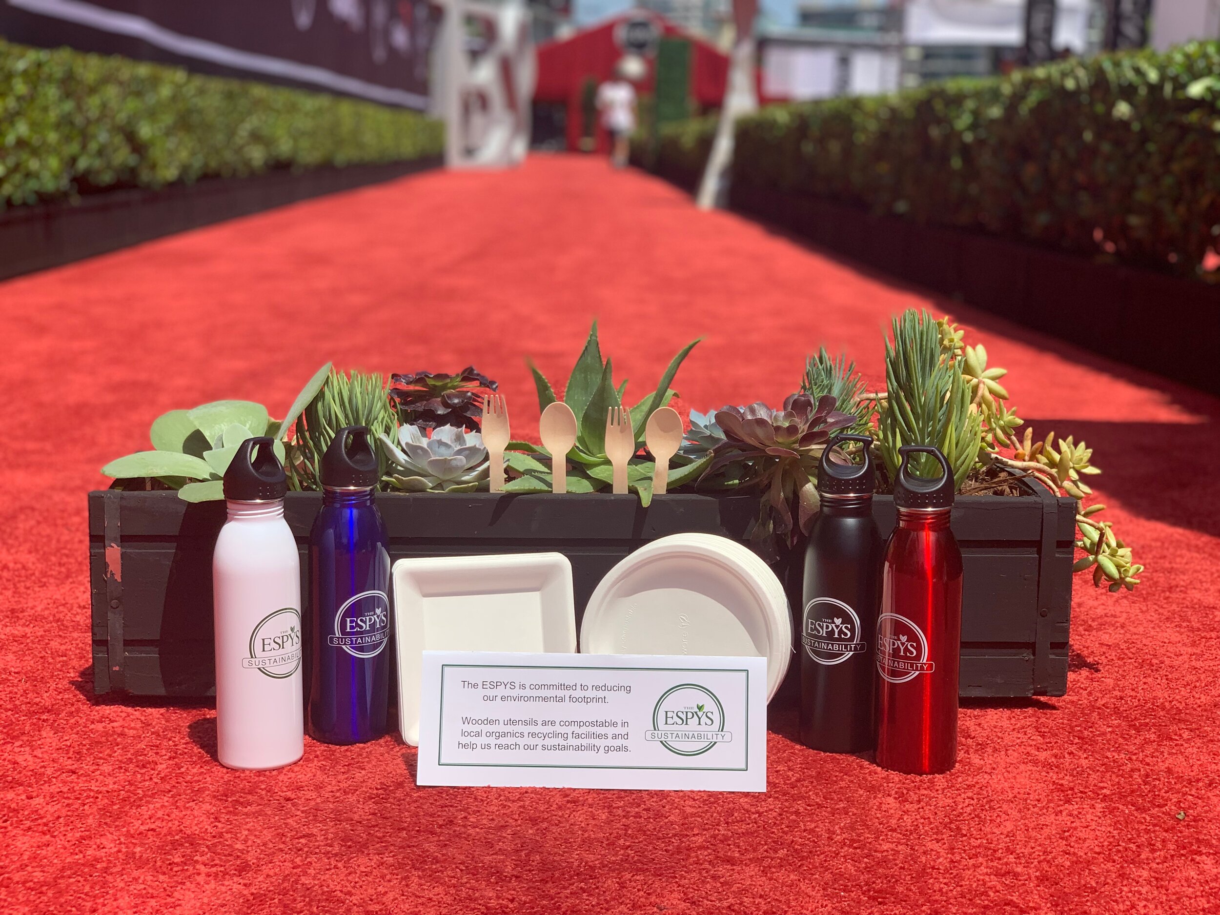 Red Carpet Service Ware.jpeg