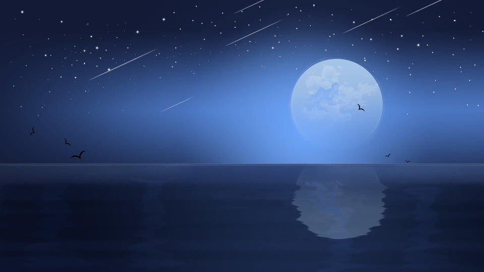 Meteor Shower Cruise