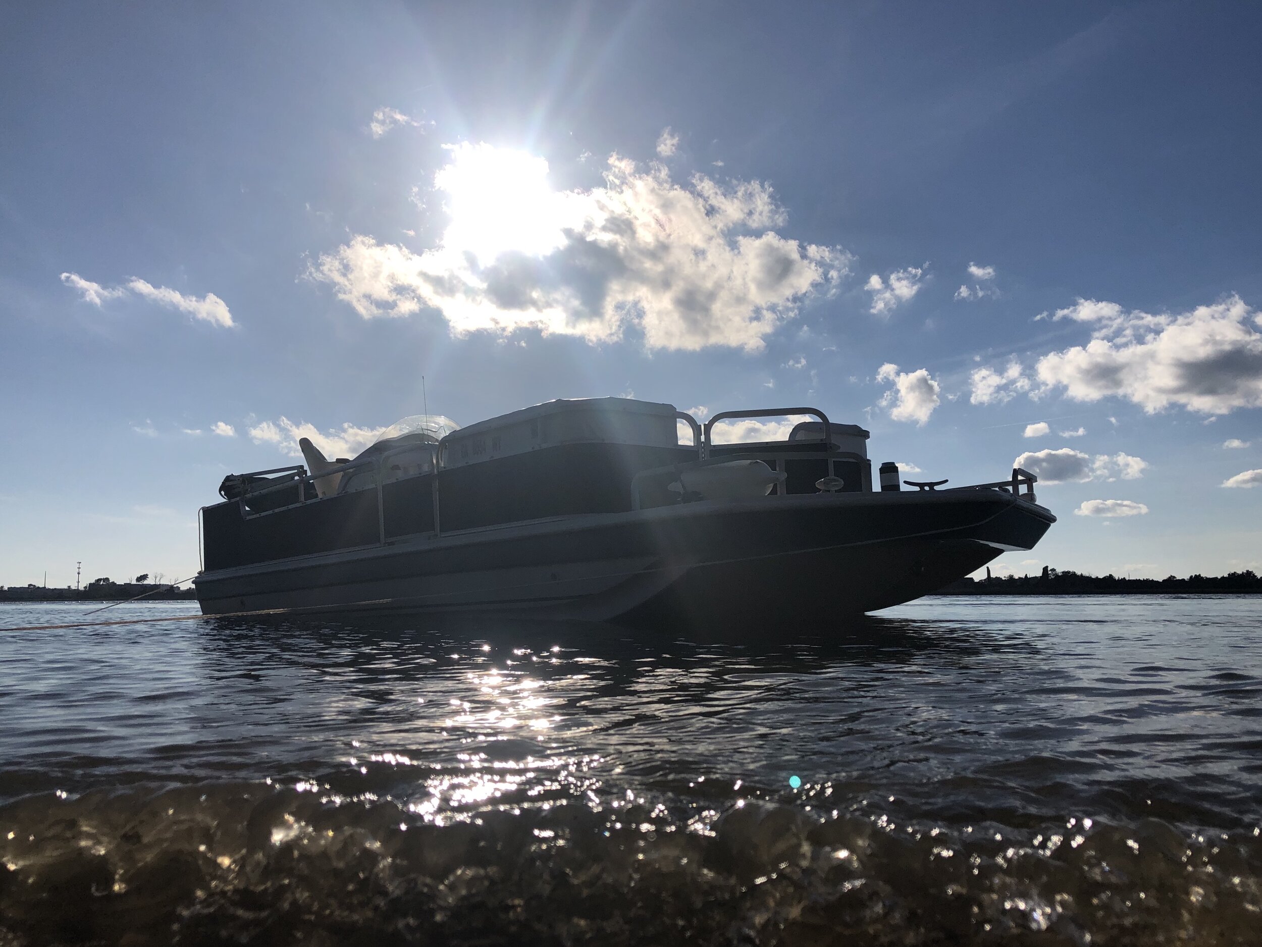 Custom Cruise