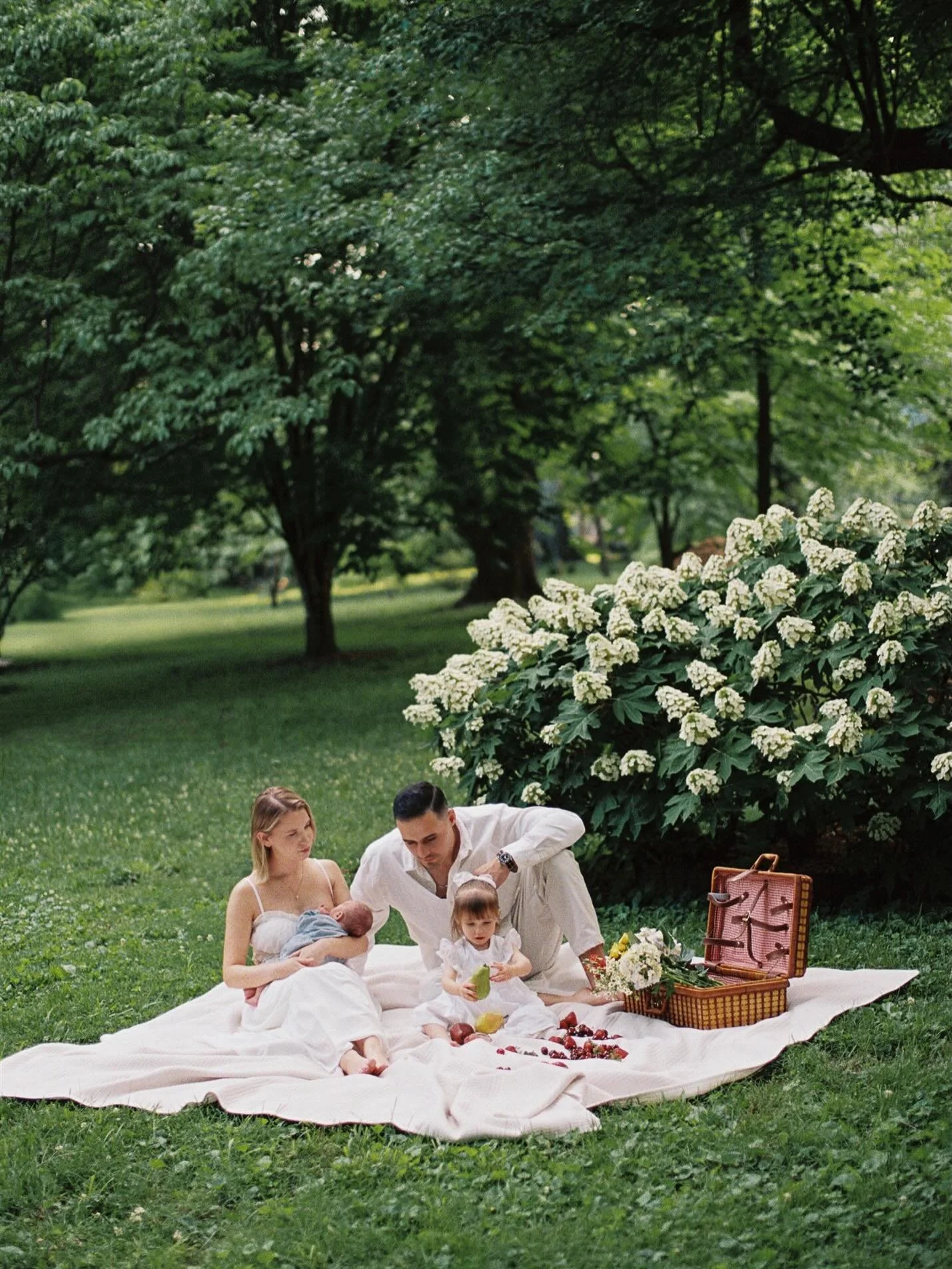 Family picnic session with the Rattermans will forever be one of my favs. All 35mm film! 

Lots of spring and summer session availability! Inquire through my website + let&rsquo;s start planning 🖤