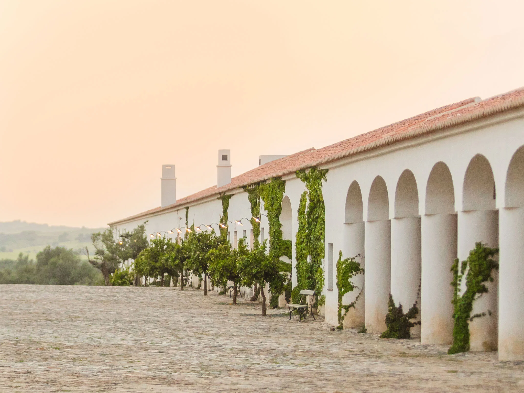 A white building with arched openings, climbing ivy, and a tiled roof, under soft pastel sky.