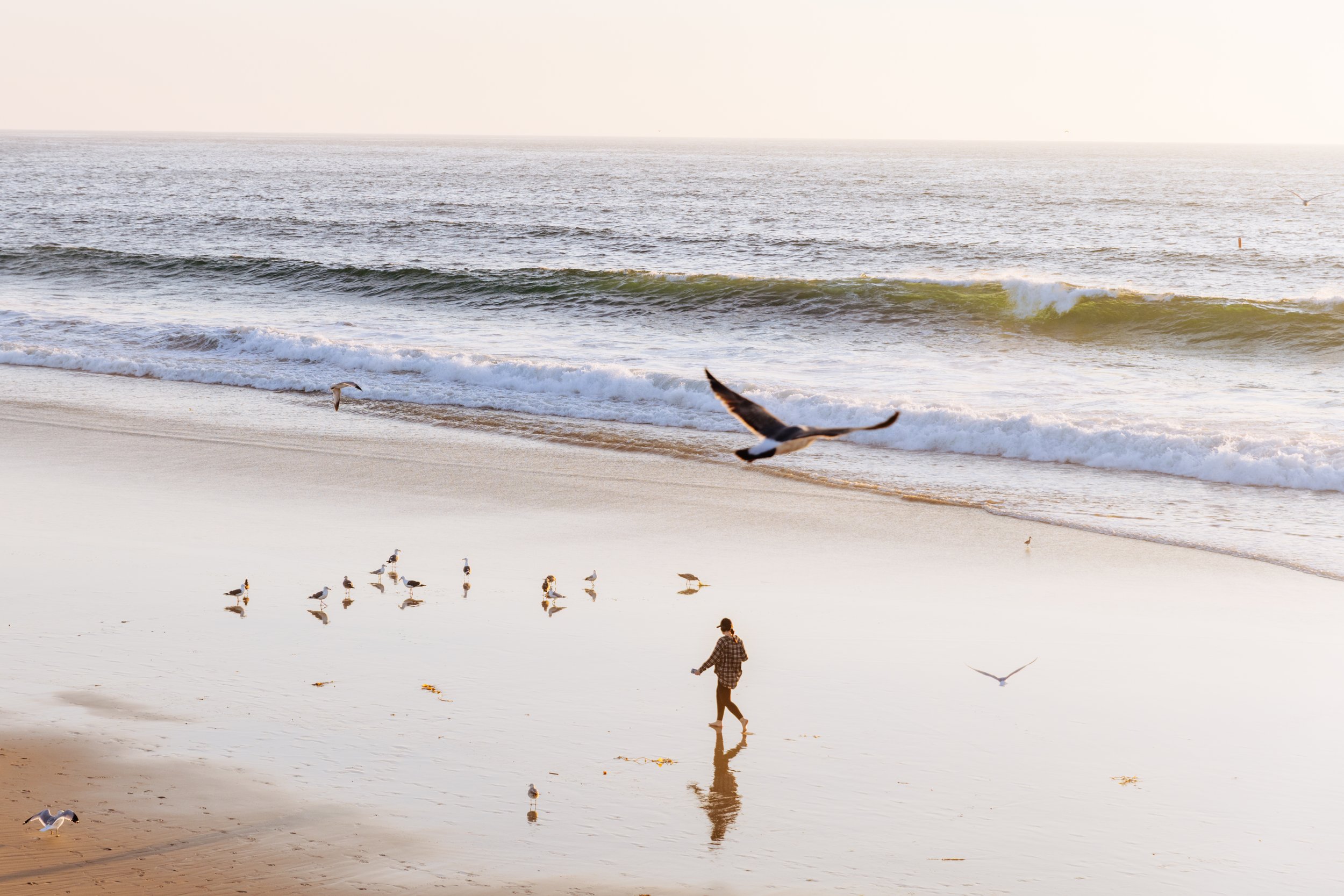 Destination_H20-Hermosa-11.jpg