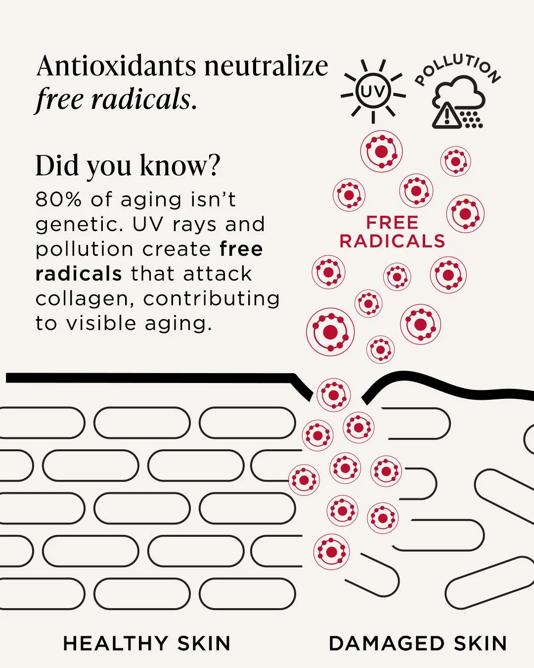 IMC_2026_SOCIAL_0825_PREVAGE_ANTIOXIDANTS_2.jpg