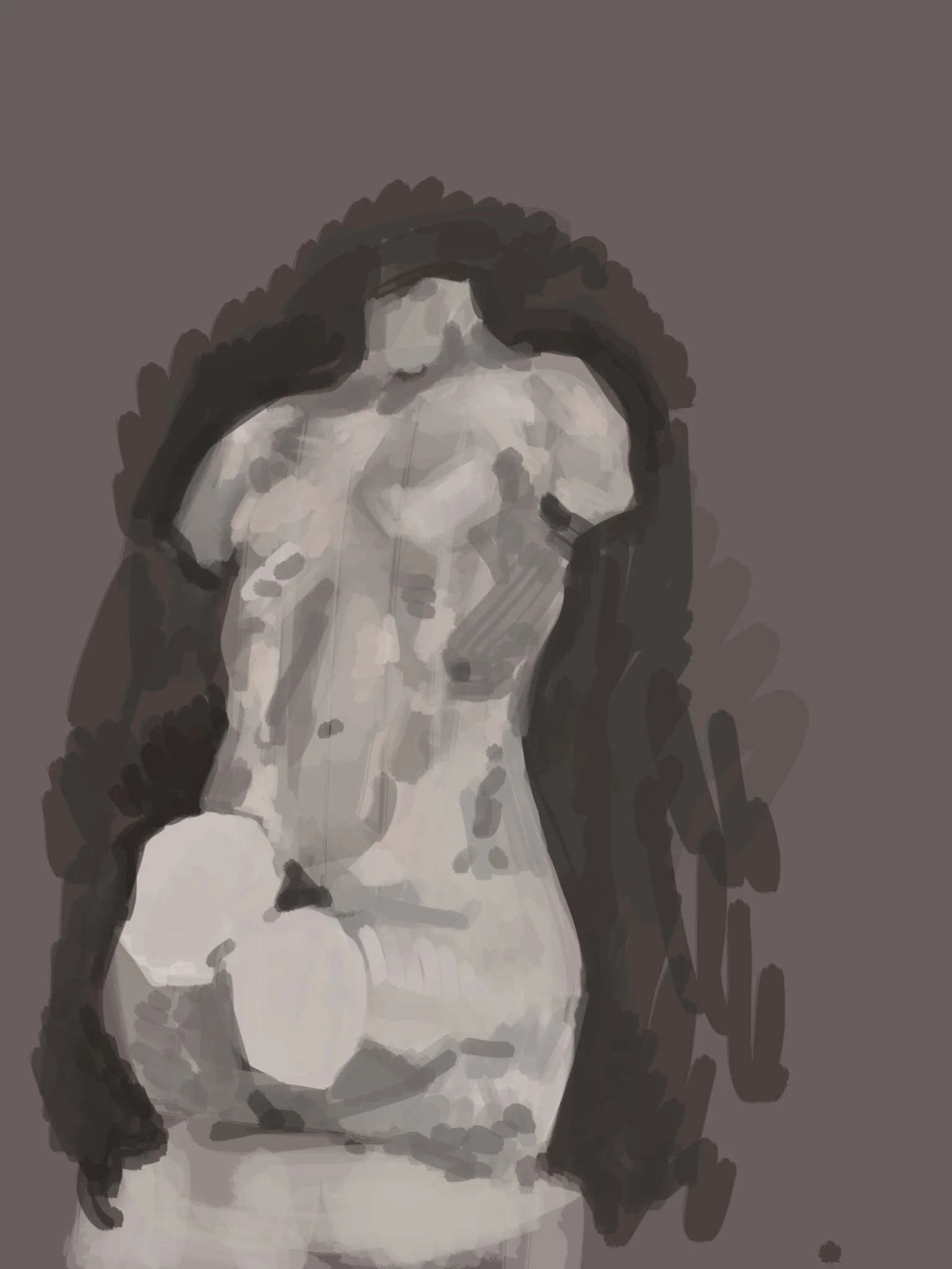 Torso_Study_112318.jpg
