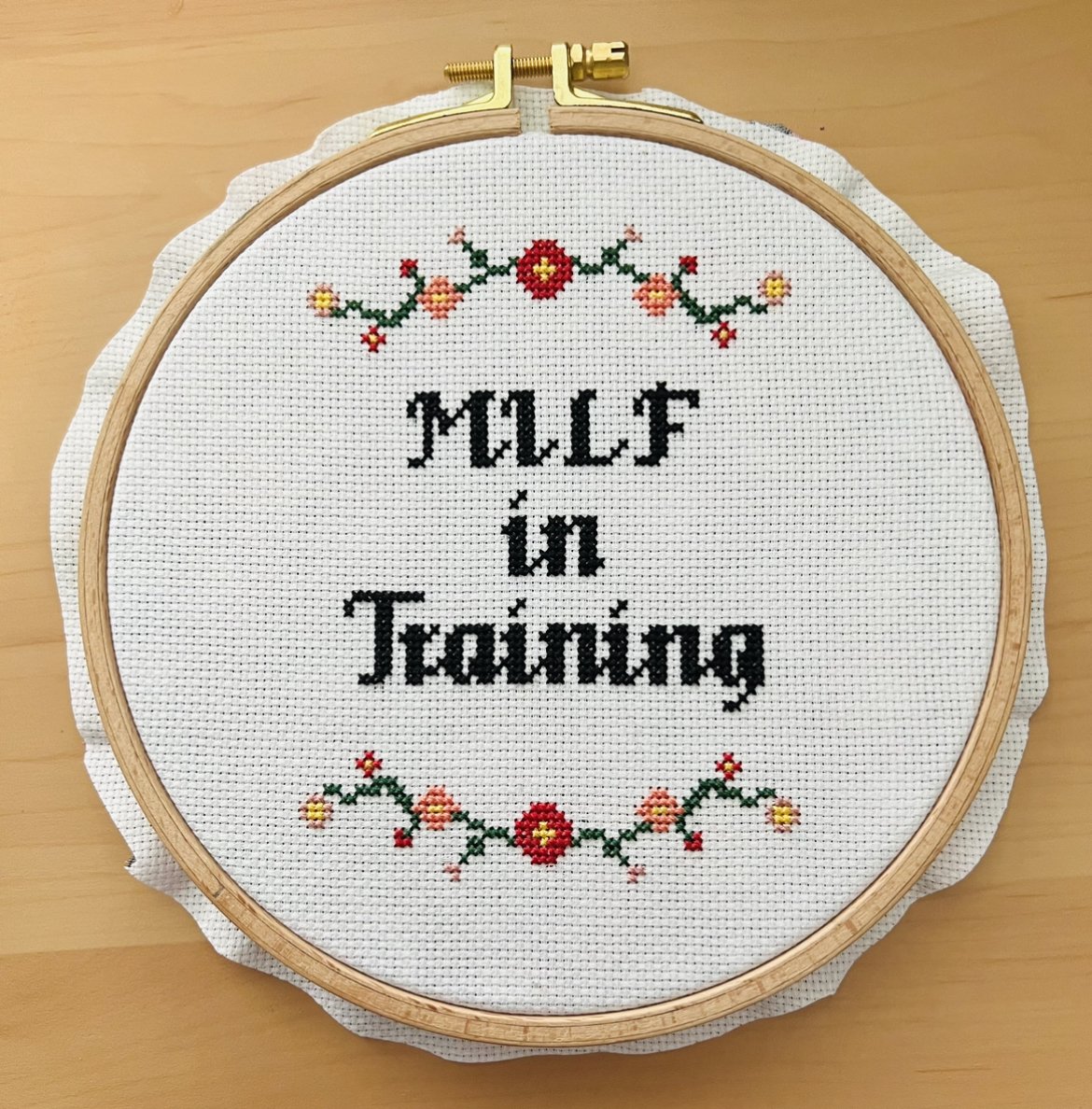 I Will Shit on Everything You Love. Adult Starter Cross Stitch 