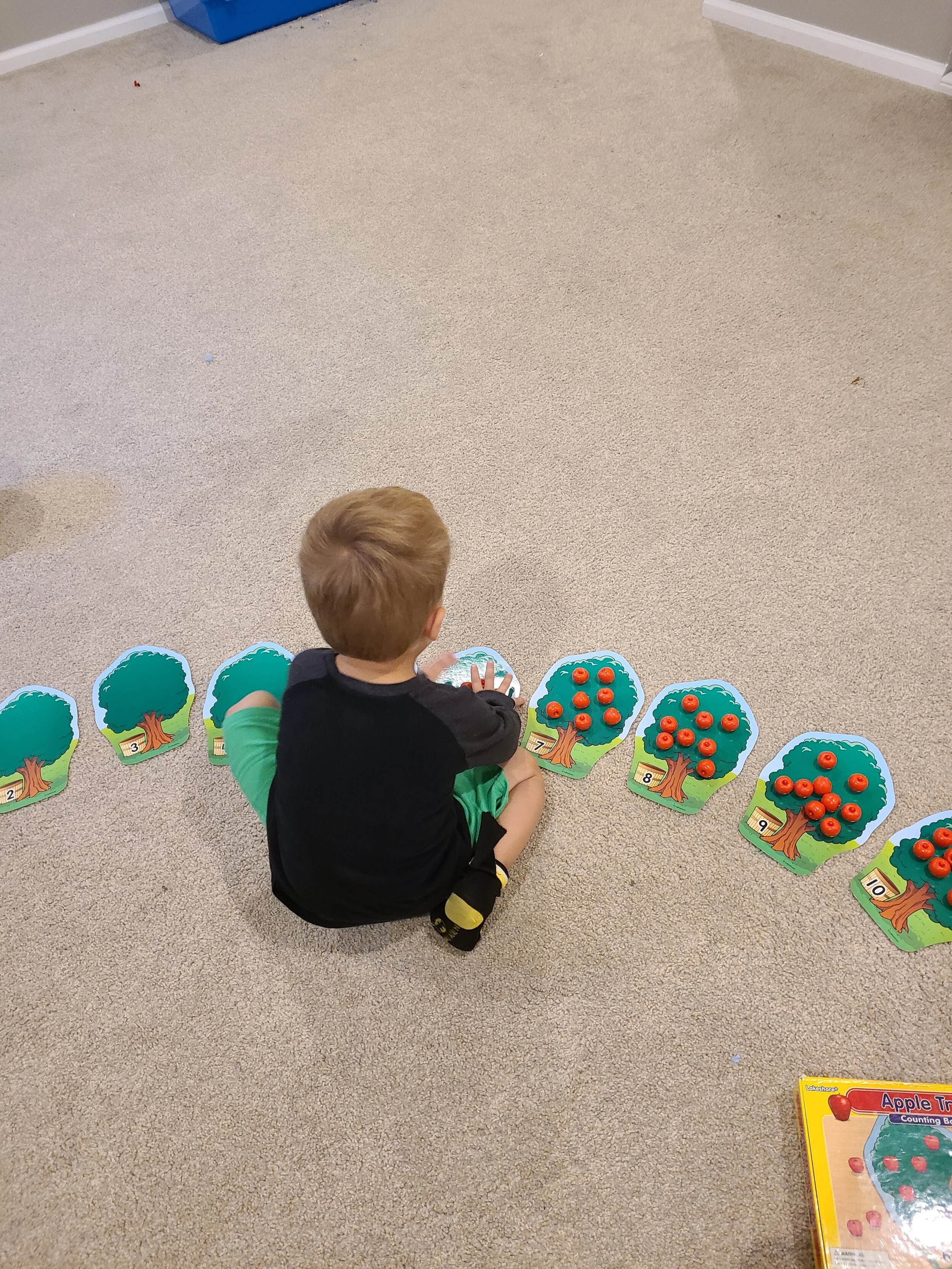 Logan-Apple Counting.jpg