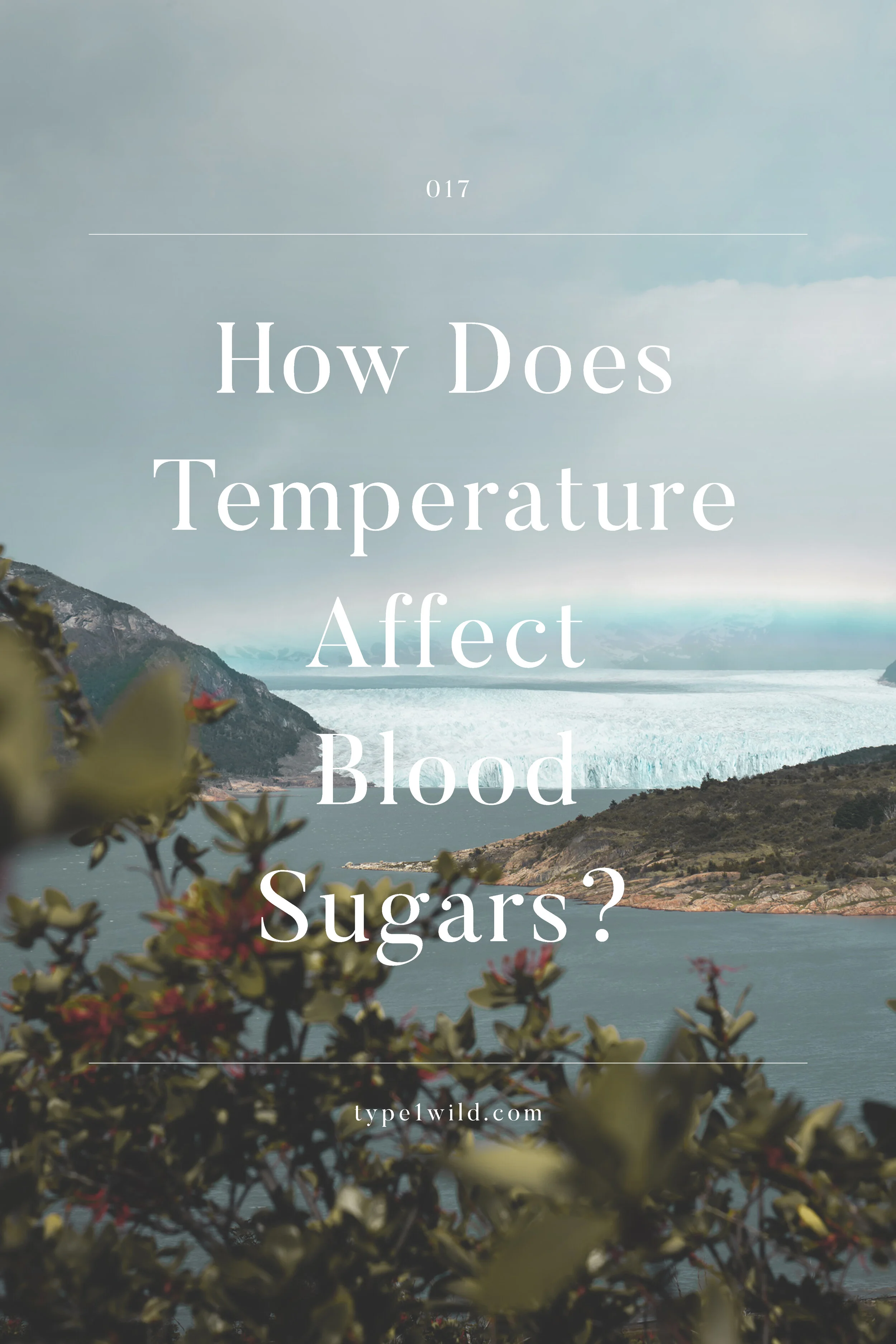 Diabetes Blog 017 How Does Temperature Affect Blood Sugars? — type1wild