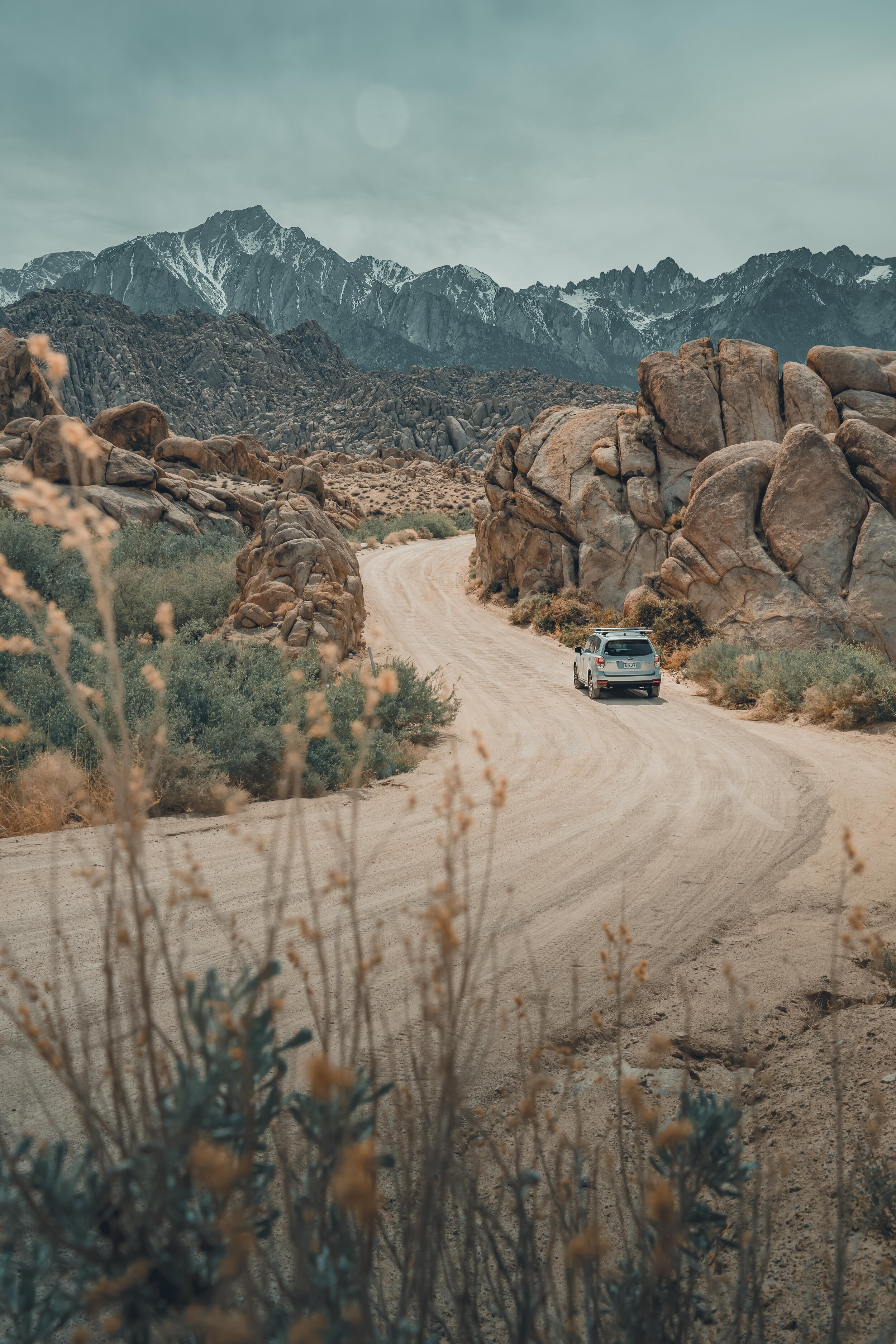 type1wild-alabama-hills.jpg