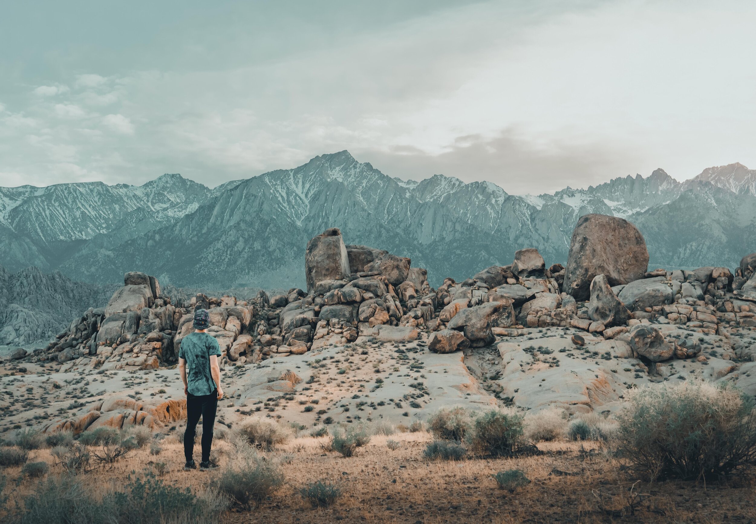 type1wild-alabama-hills-2.jpg