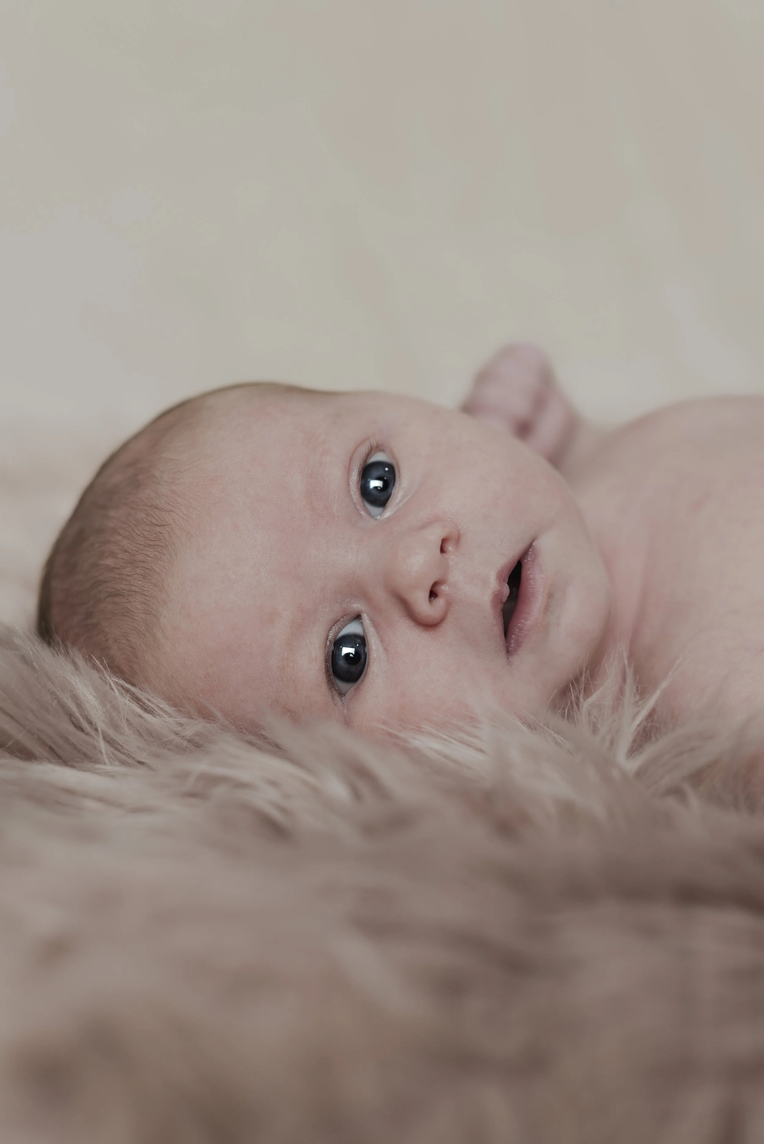 Newborn DSC_2431.jpg