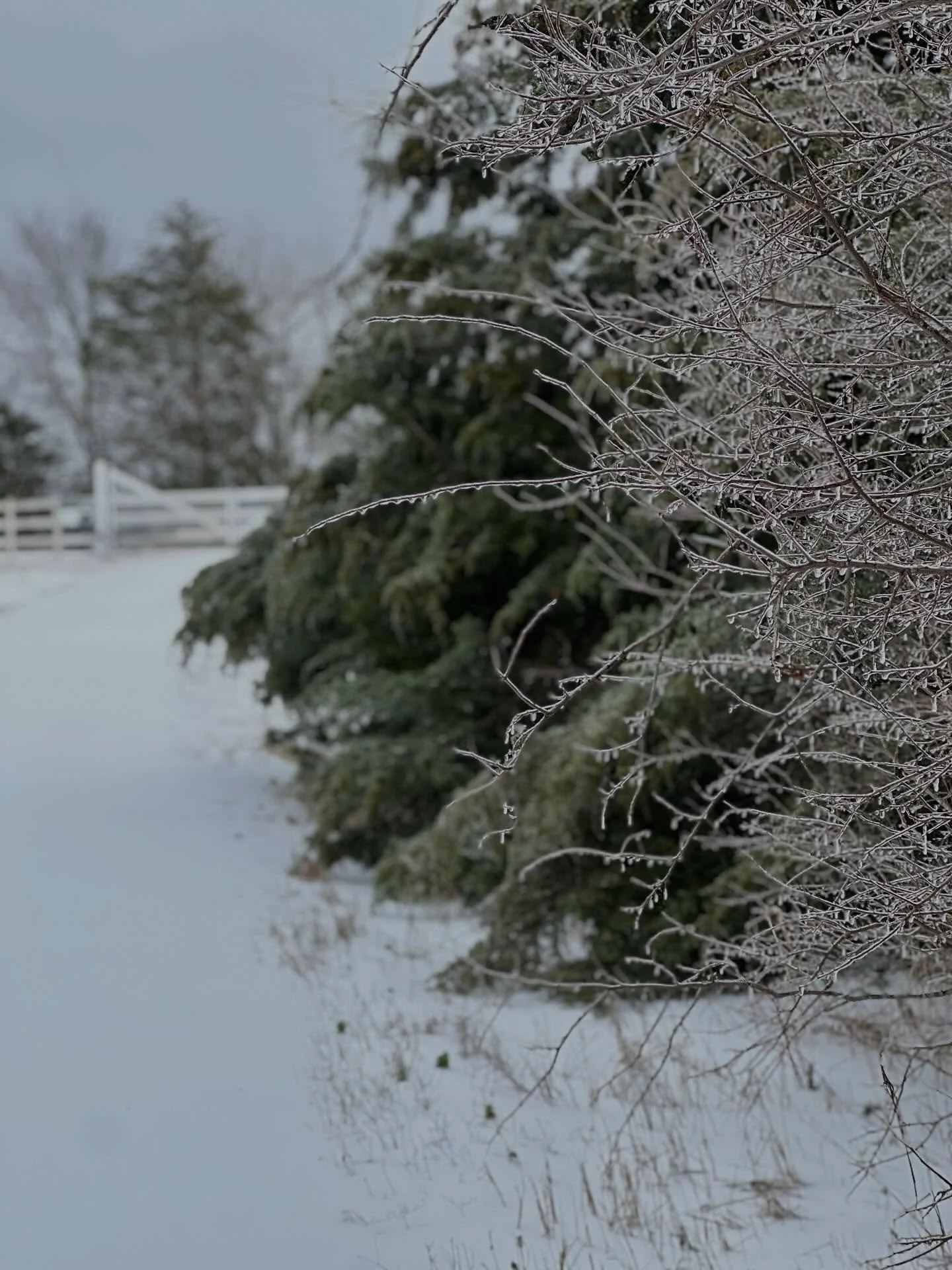 Yes, Wednesday will be another snow day! Follow McKinney ISD. If they announce a weather closure, we will as well. Happy stitching!