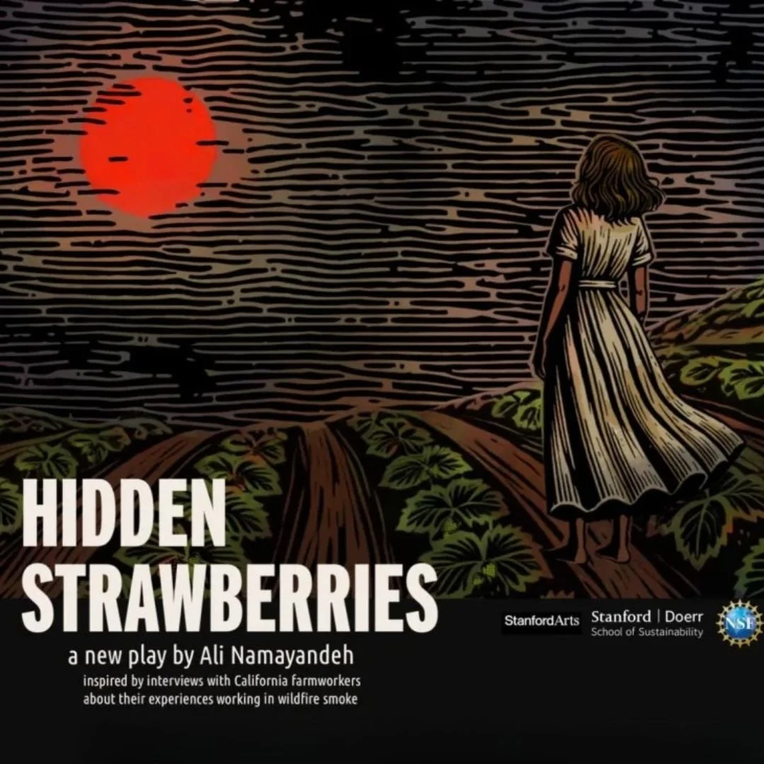 Designed and produced an immersive soundscape for a stage play exploring immigrant workers and the California fire seasons, drawing from original field recordings, sourced sound effects, and studio narration that I directed, recorded, edited, and mix