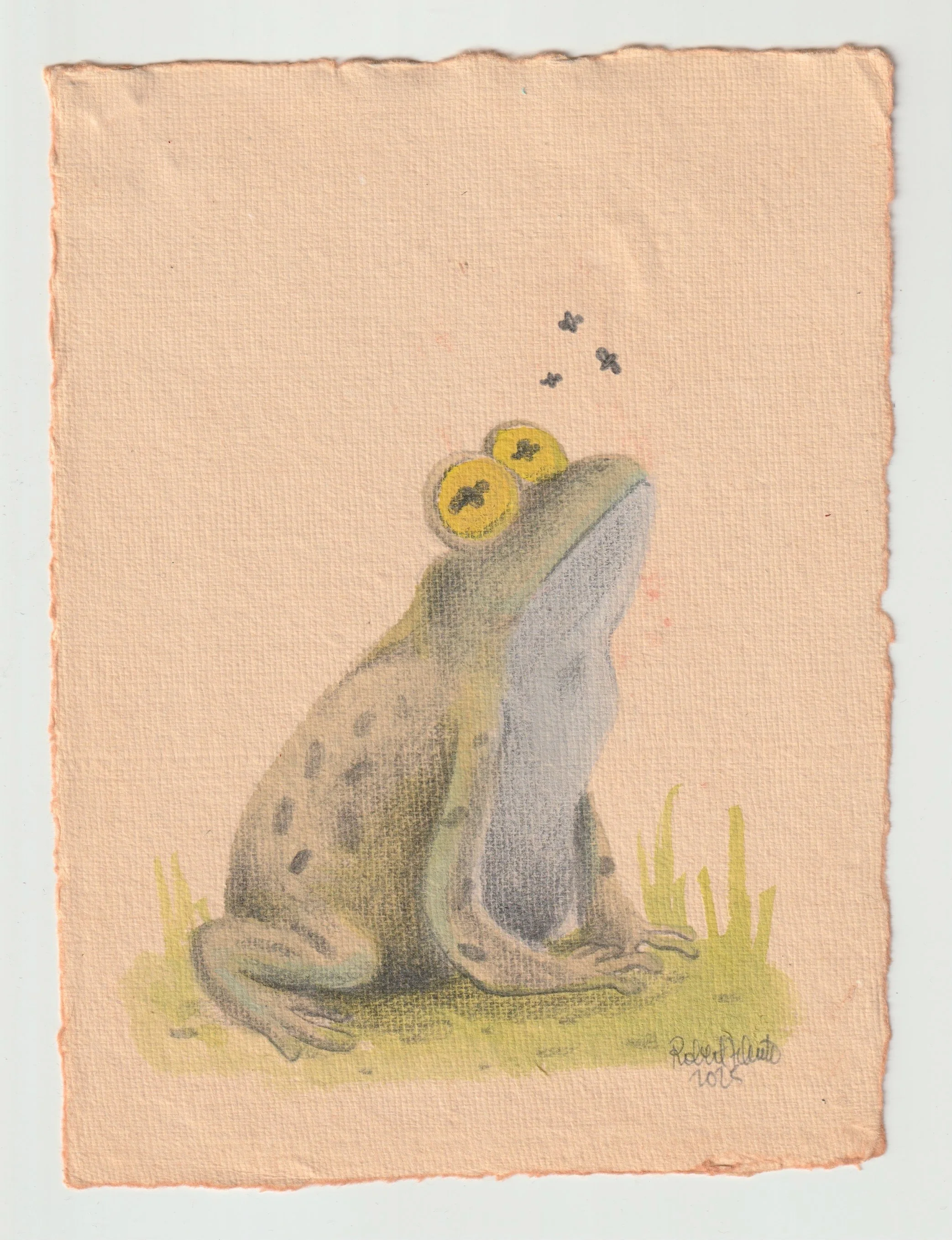 Hand-painted watercolor and graphite illustration of a whimsical spotted frog sitting in grass, gazing upward at tiny flies with wide yellow eyes on soft textured paper.