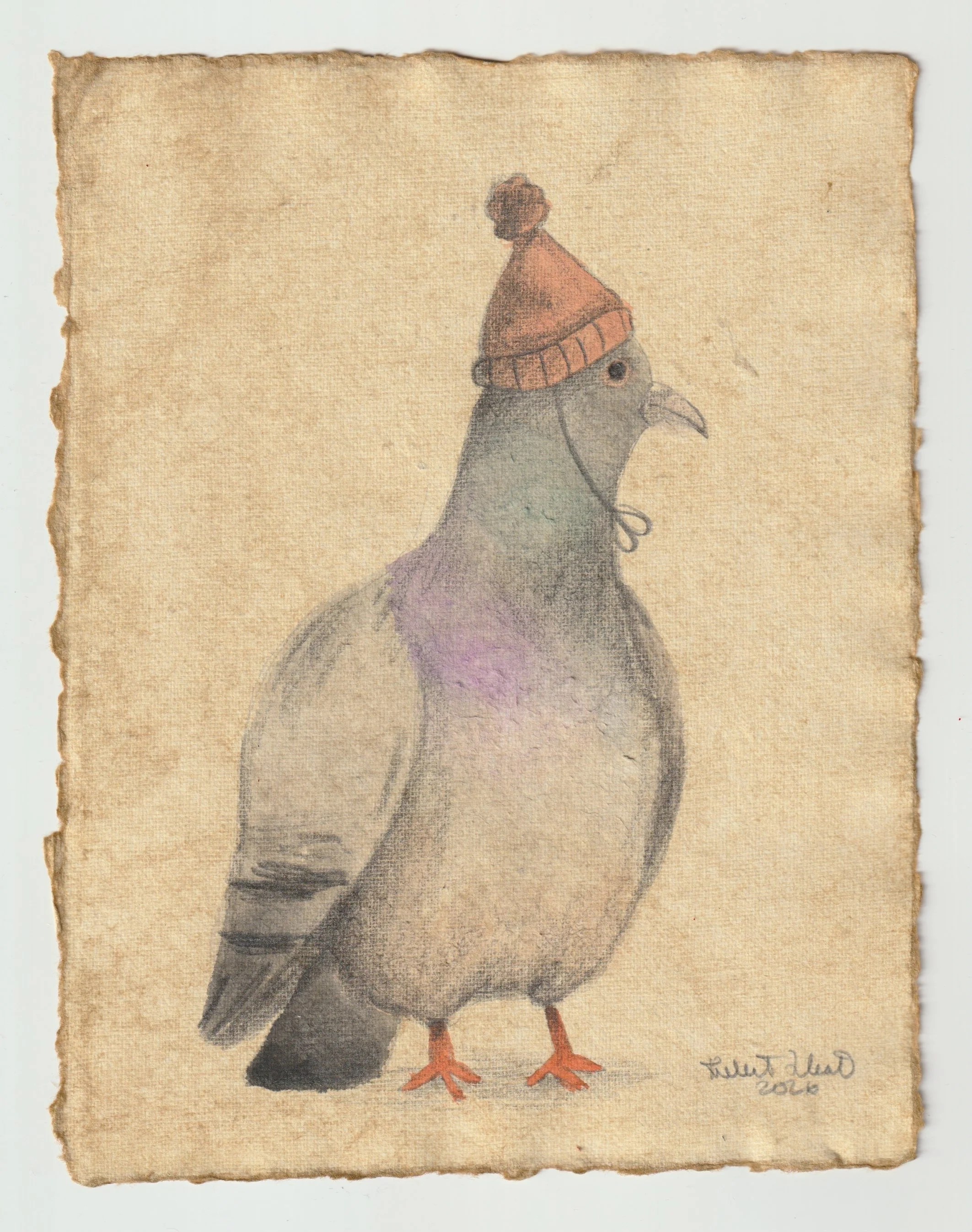 Hand-drawn pigeon wearing a red knit beanie hat, soft neutral tones on textured paper