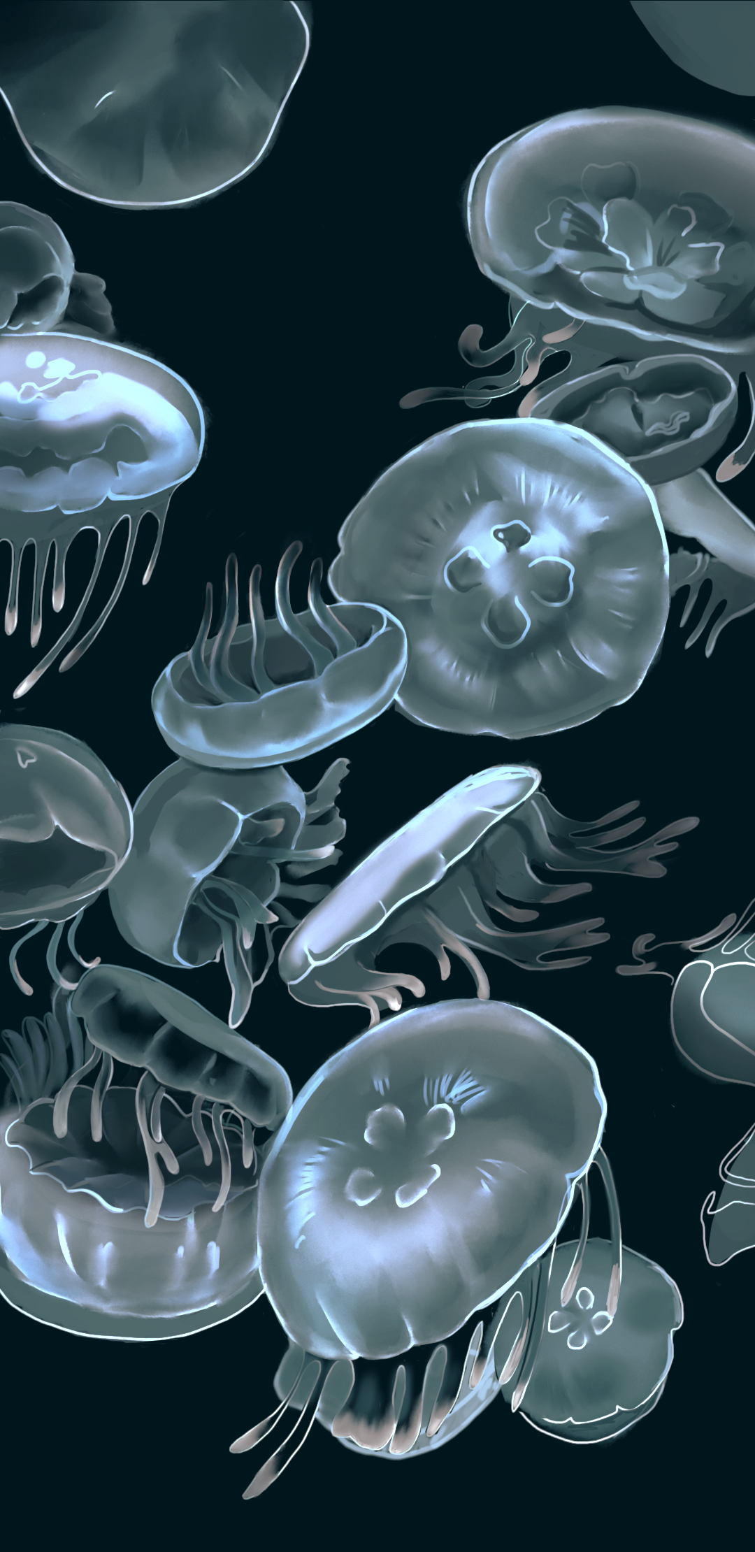 AquariumSketches2 copy.png