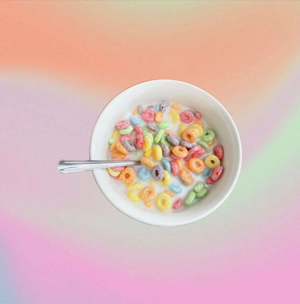 Trash Lamb Gallery Artistrun art gallery and unconventionally