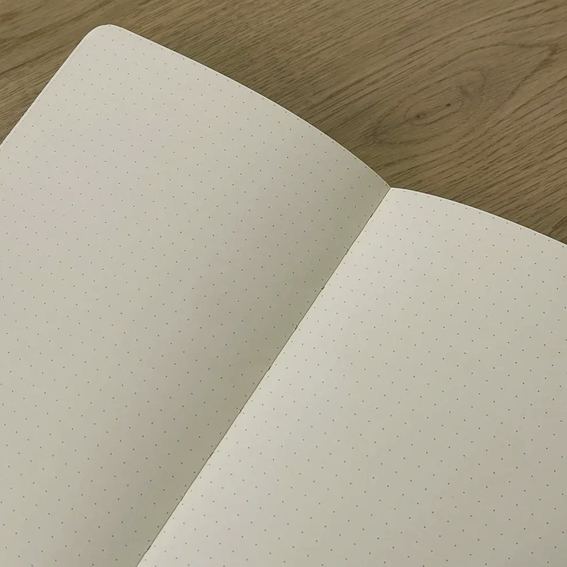 notebook strange ideas inside.jpg