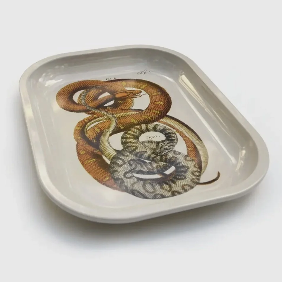 new snake tray 1.jpg