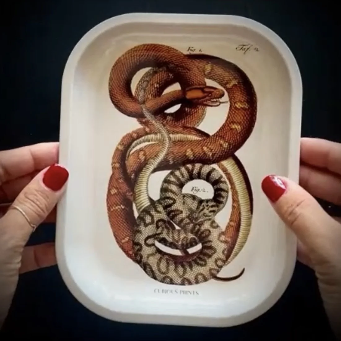 tray front 1.jpg