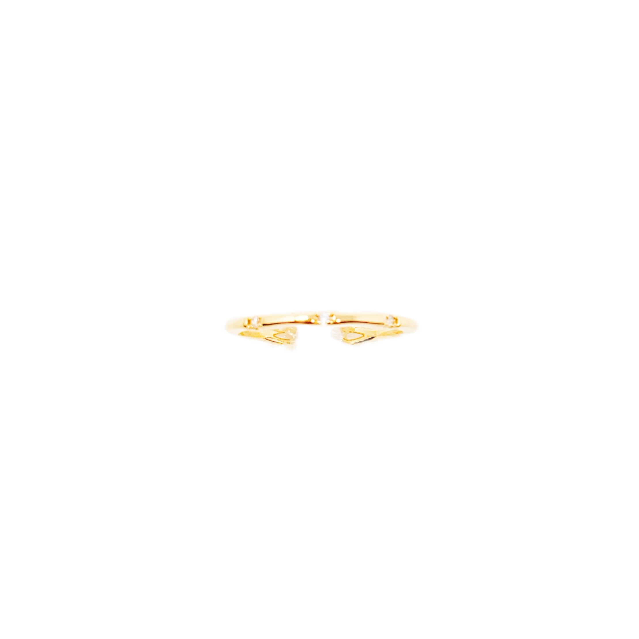 skinny ring.png