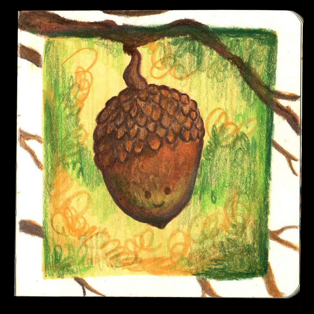 1. ACORN // I spent a lot of time on this drawing because it was the first day and I was scared to draw traditionally.  
