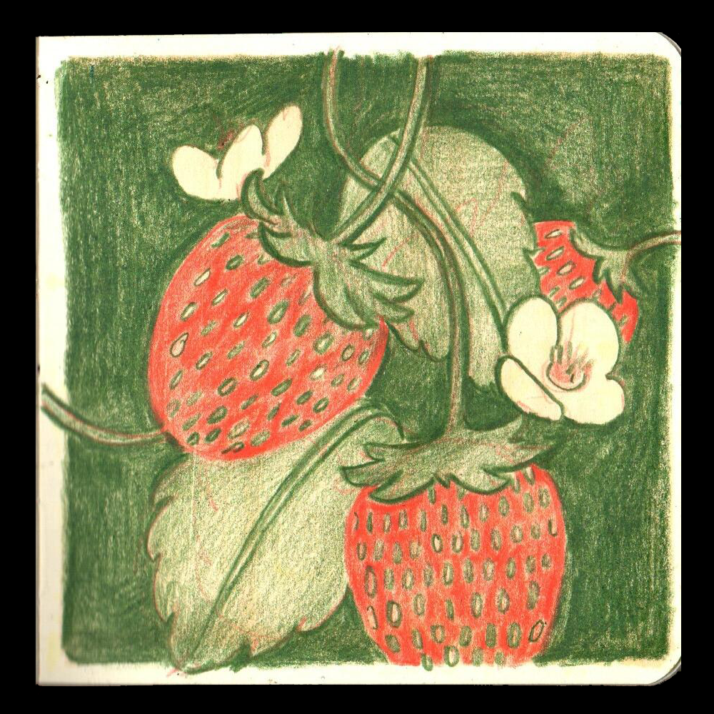 7. STRAWBERRY // I was struggling for a Strawberry concept so I just drew the prettiest picture of strawberries I could find! I love the minimal palette I used here