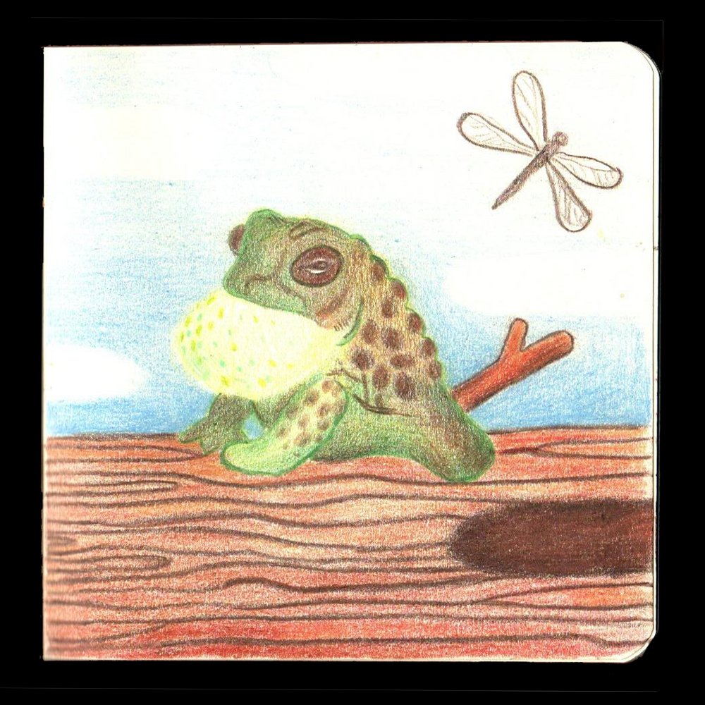 18. TOAD // I couldn’t think of a concept so I drew the first picture I saw on google LOL I really took my time rendering this page while I was talking with friends and this may be one of my favorite pieces technically- the blending was so smooth heh