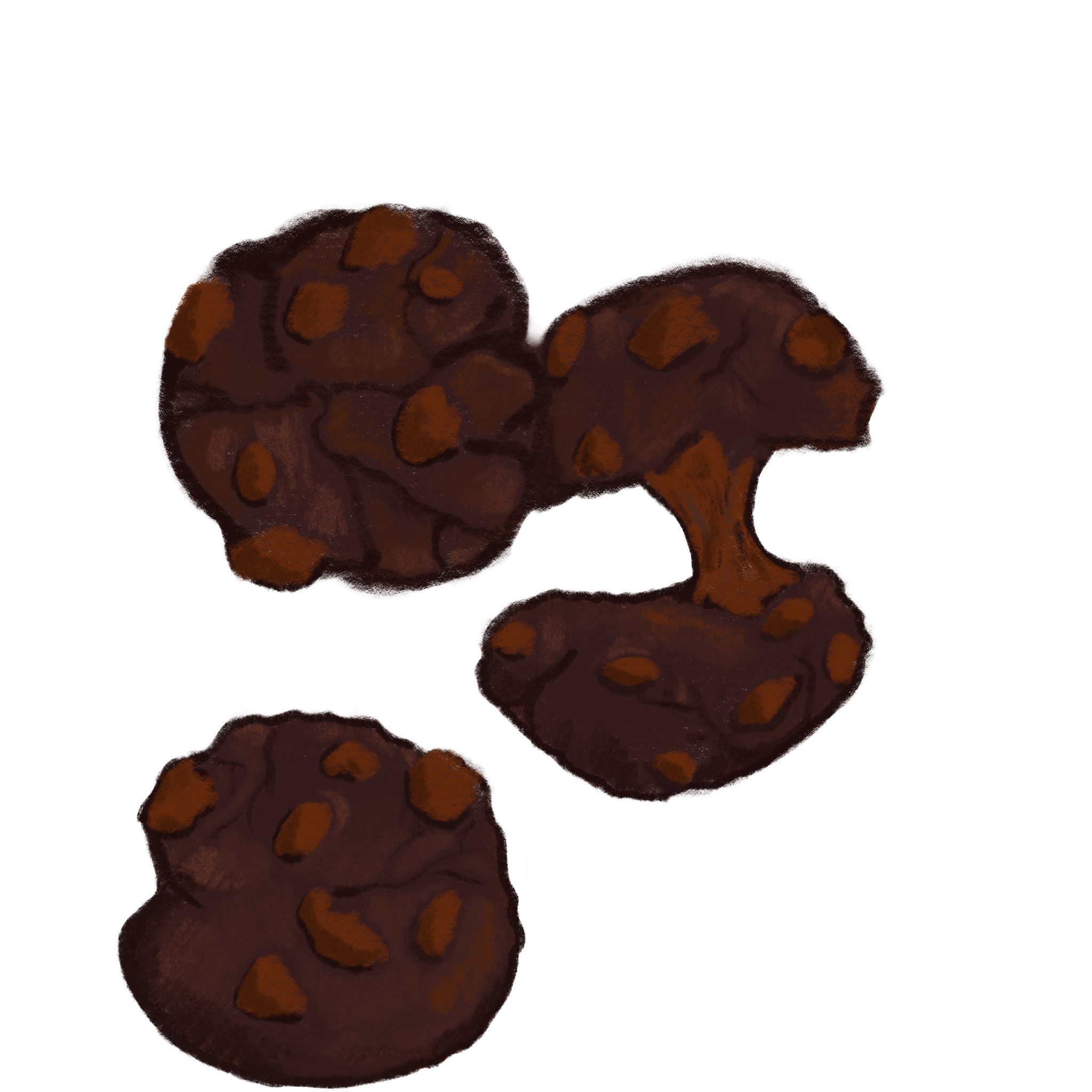 double chocolate chip cookies.png