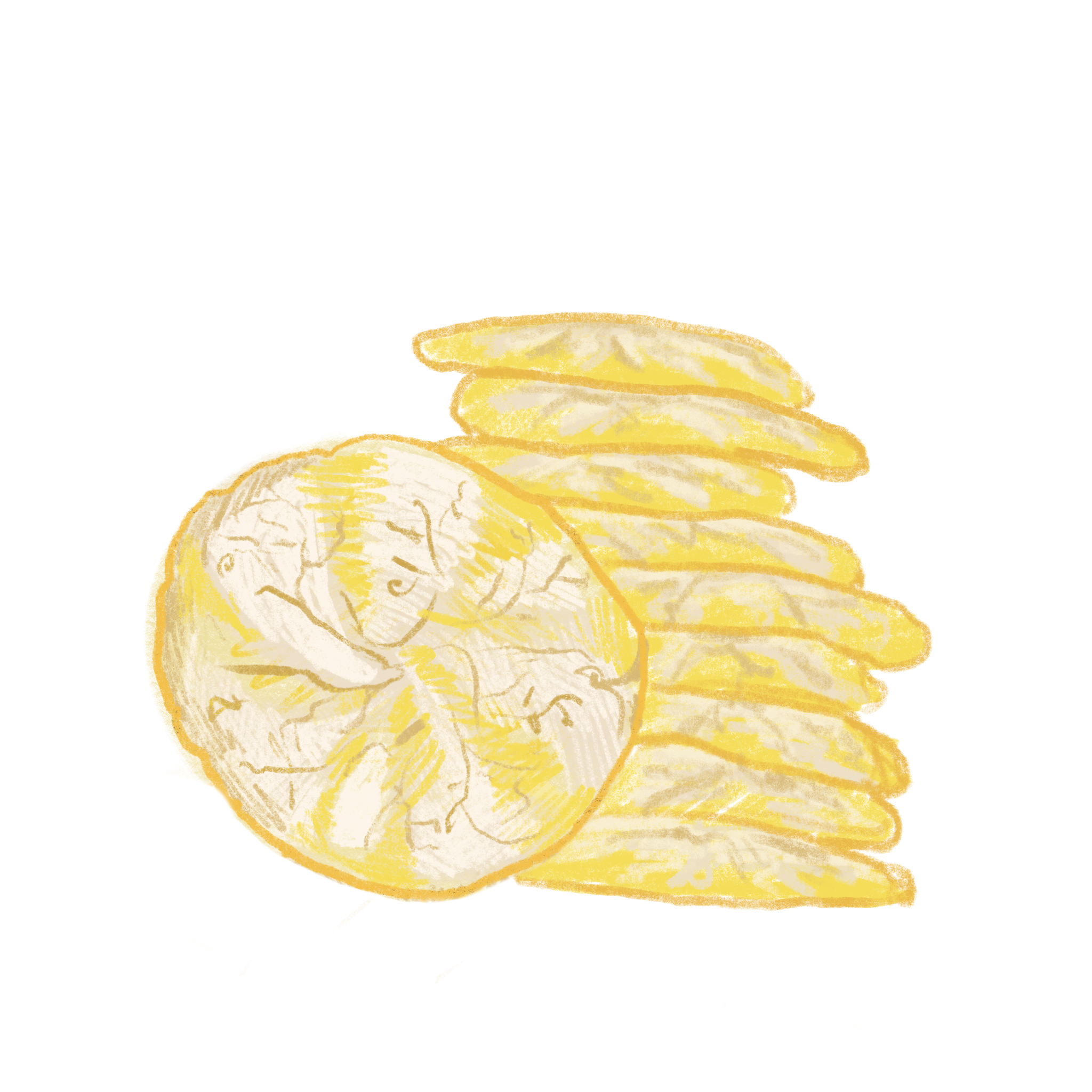 lemon cookies.png