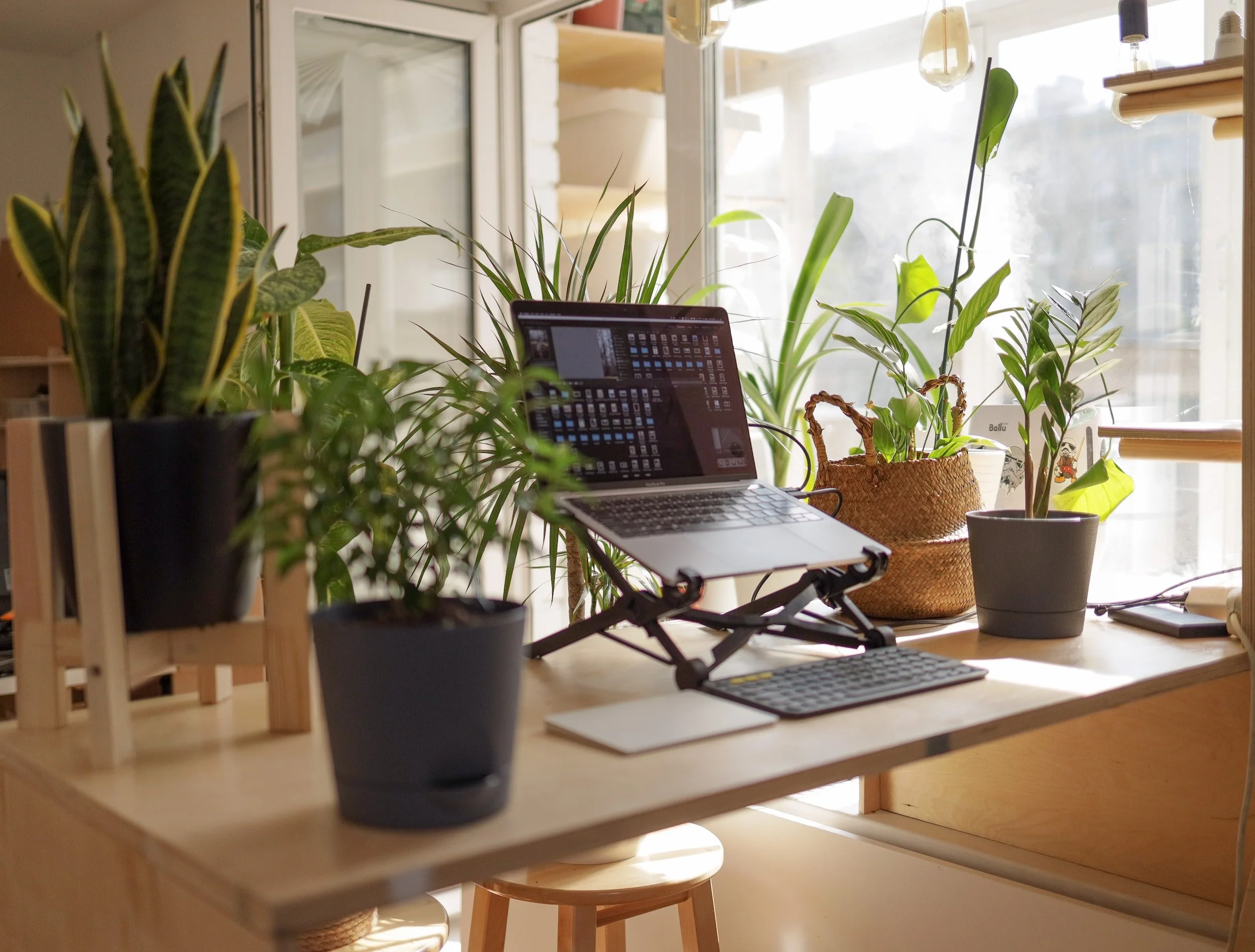 Set Your Workstation Up for Success and Prevent Pain with these Tips!