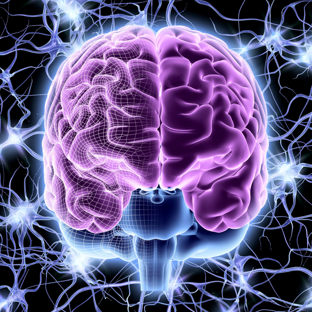 Understanding Fibromyalgia: The Neuroscience, Symptoms, and How Dry Needling Can Help