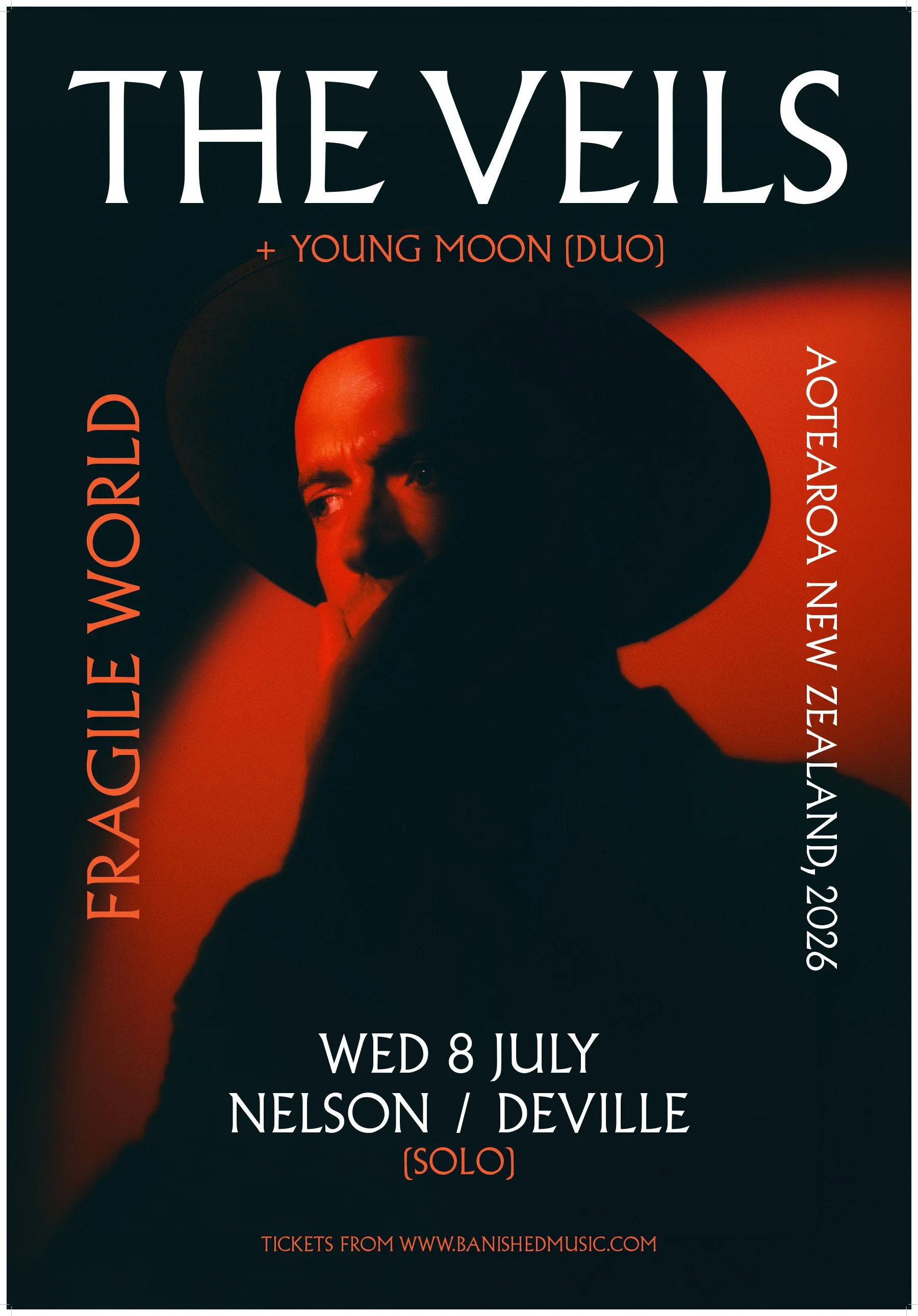 The Veils poster
