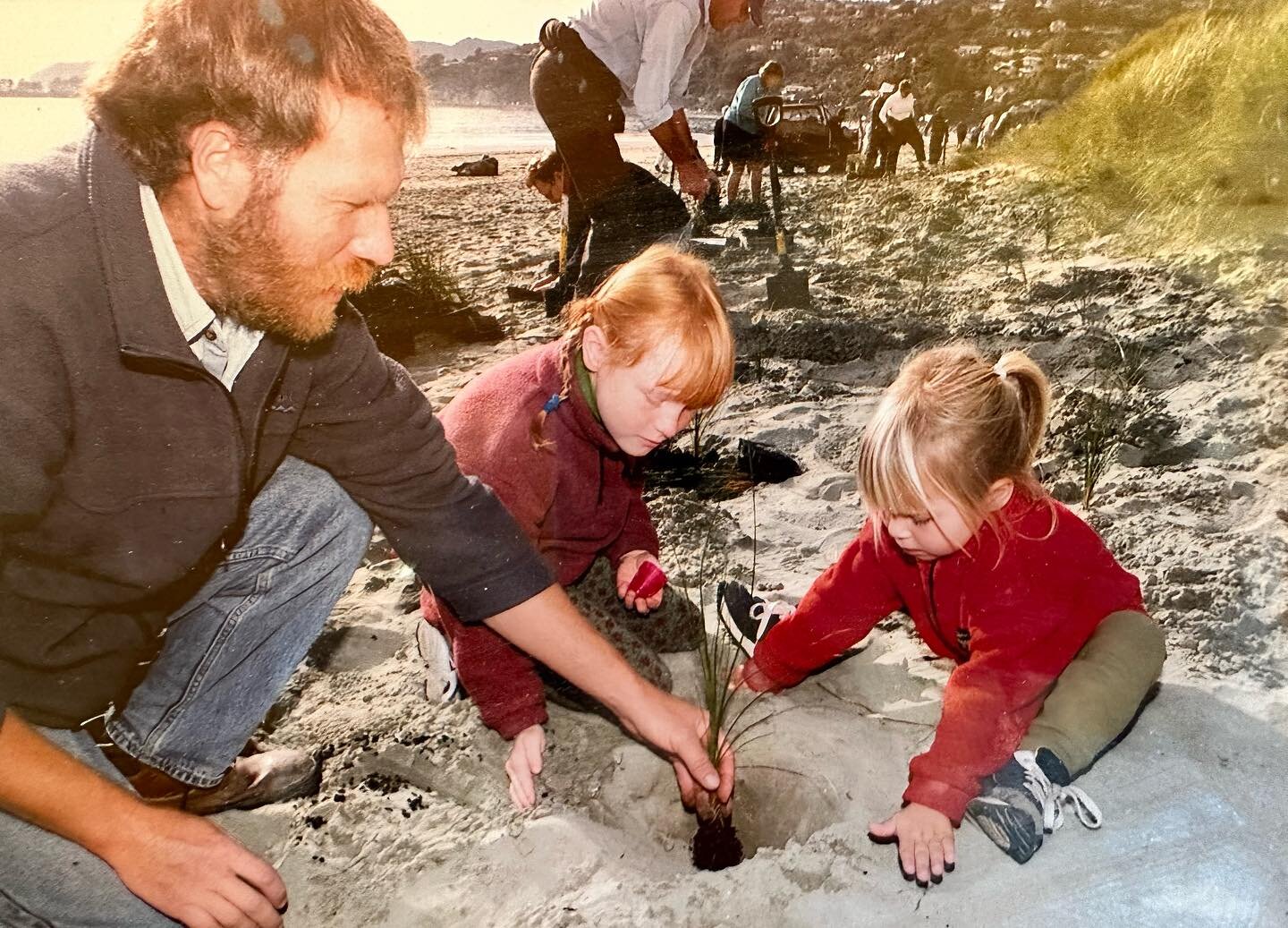 Dad showing me the ropes since 99 😎🌱#plantingnatives #savingtheplanet 📷 Nelson Mail