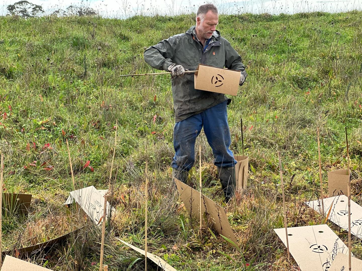 The boss outstanding in his field 🌱 #doingthemahi #plantingnatives #heroes #emguards