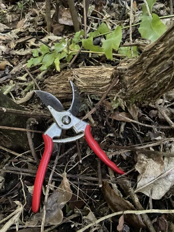 Proj-update-2 v2.jpg