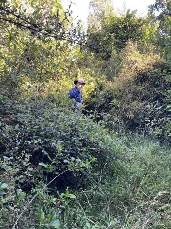 Proj-update-3 v2.jpg