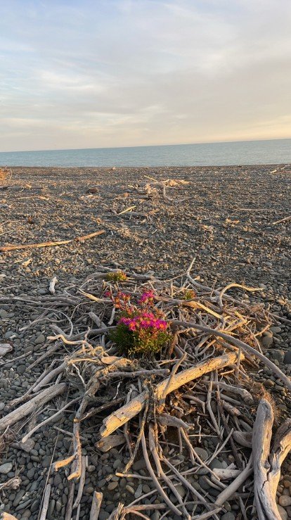 FuturEcology &amp; EmGuard ™ February 2026