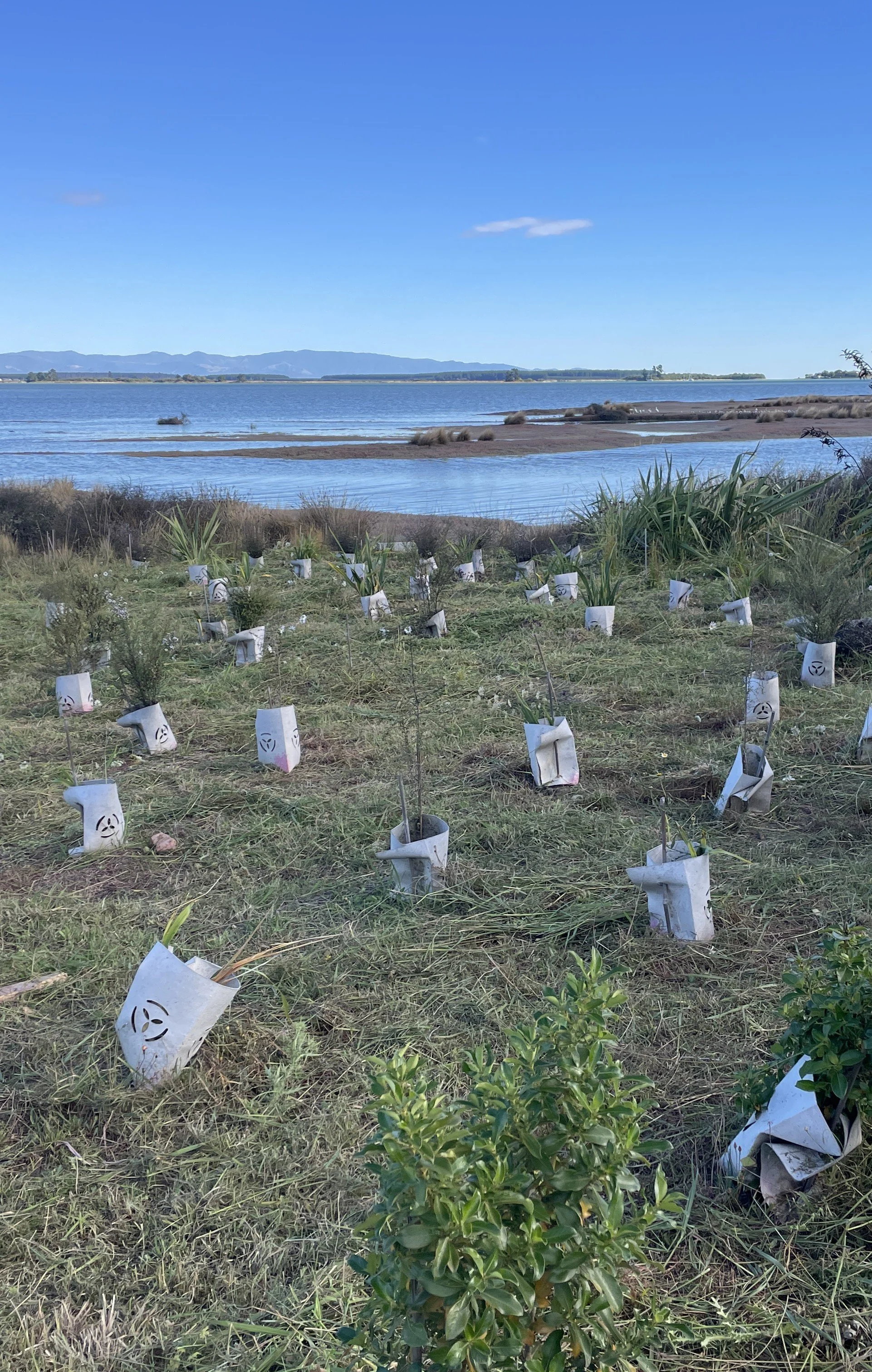 FuturEcology &amp; EmGuard ™ April 2026