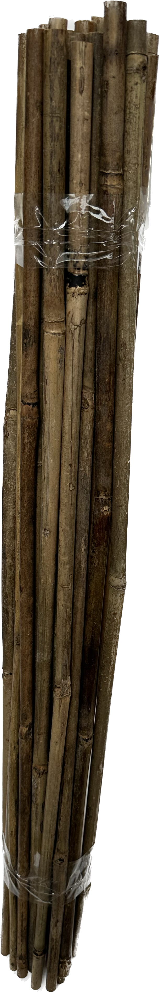 e7.png
