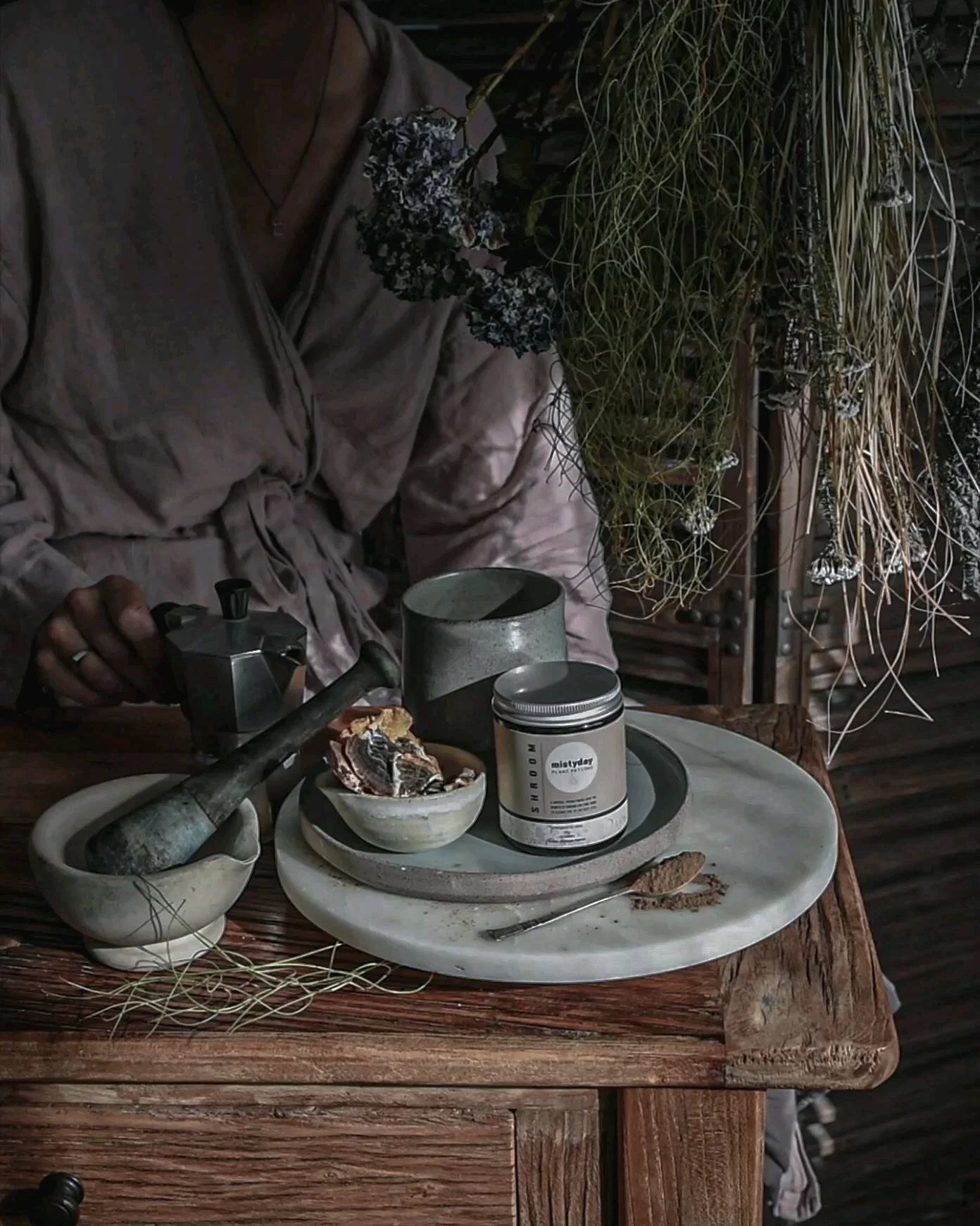 Medicinal Mushrooms & Tonic Herbs Misty Day Plant Potions
