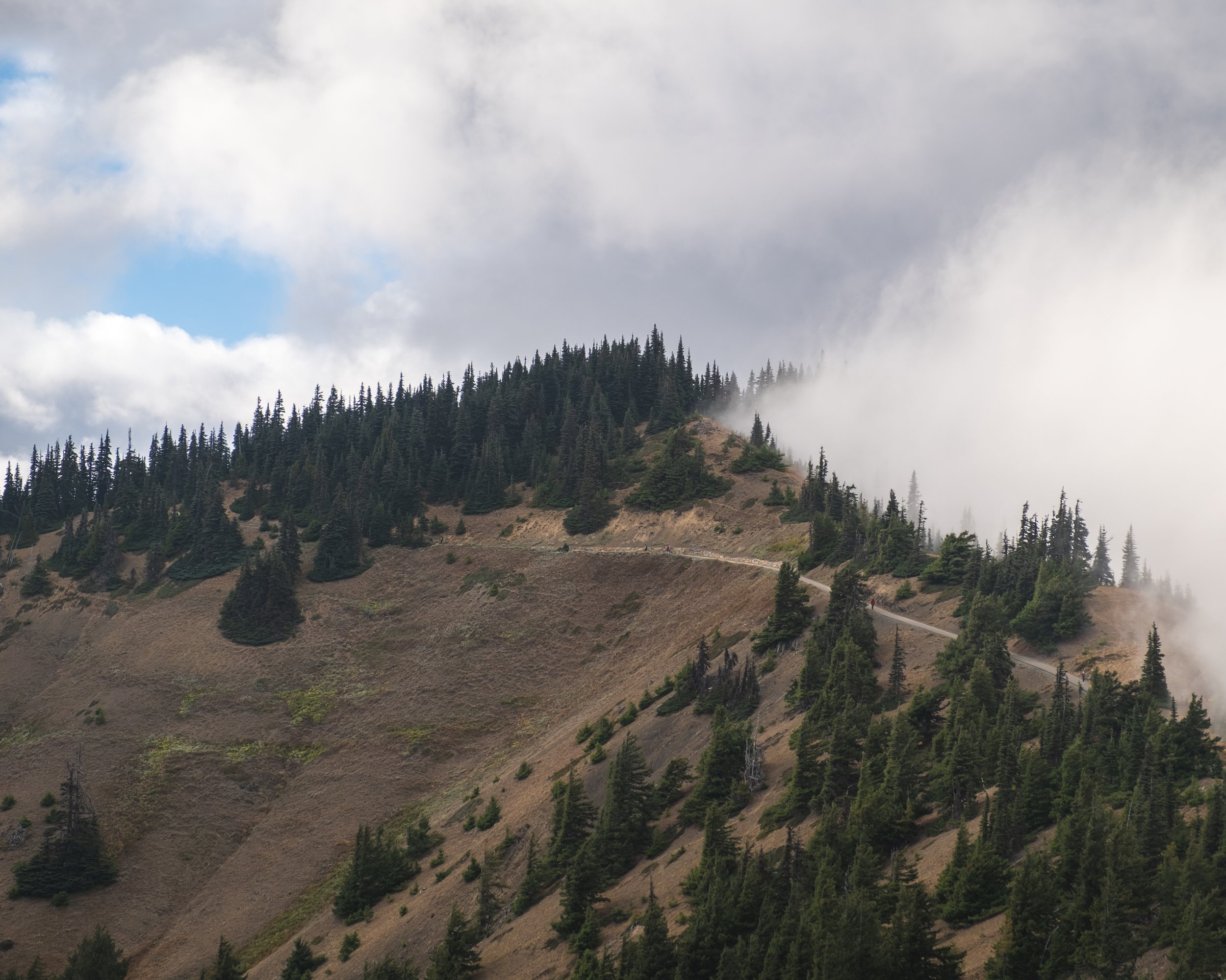DSCF7120.jpg