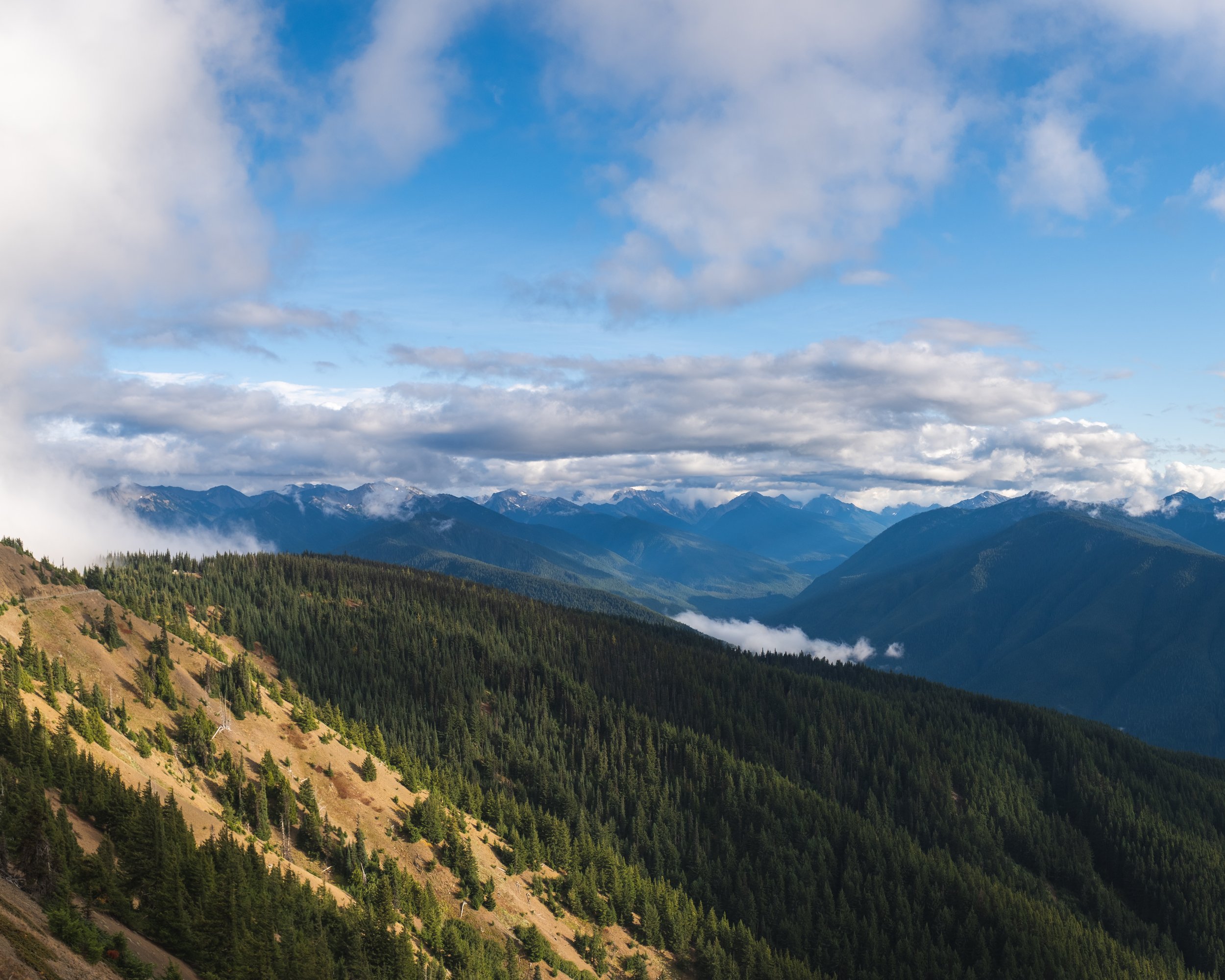 DSCF7149-Pano.jpg