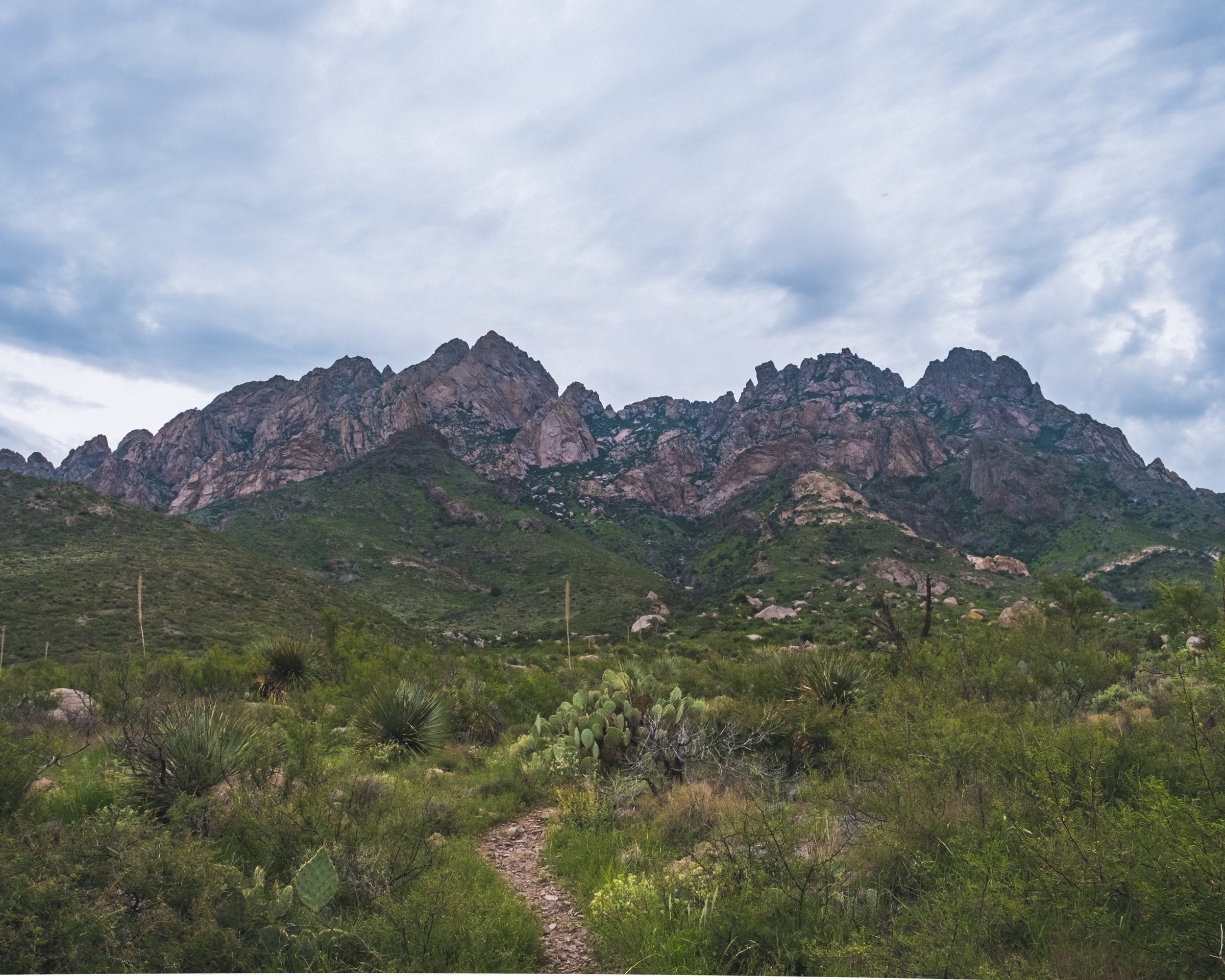DSCF6785-HDR.jpg