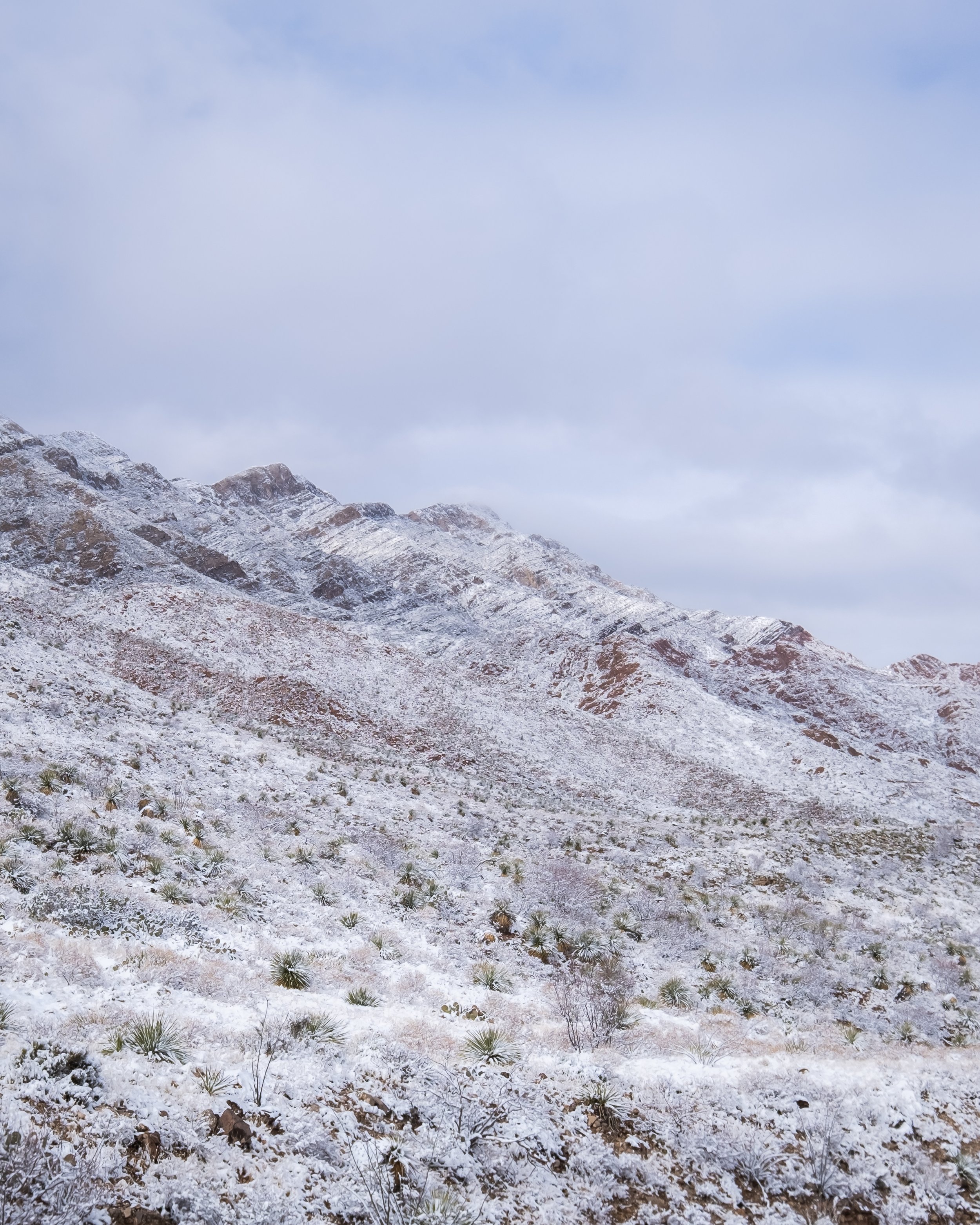 DSCF9416-HDR.jpg