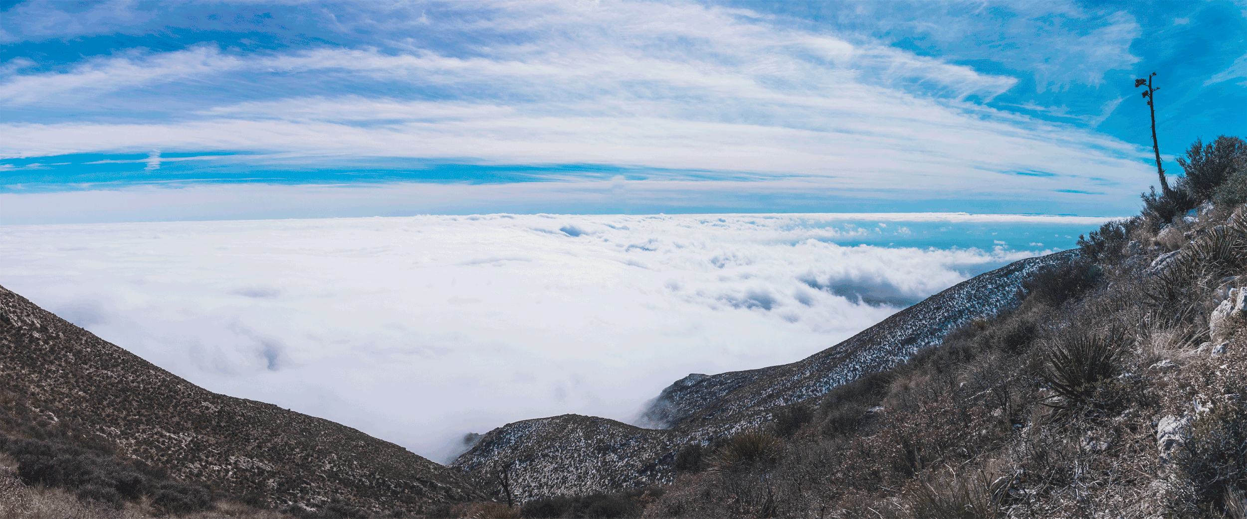 126A8876-Pano-2.gif