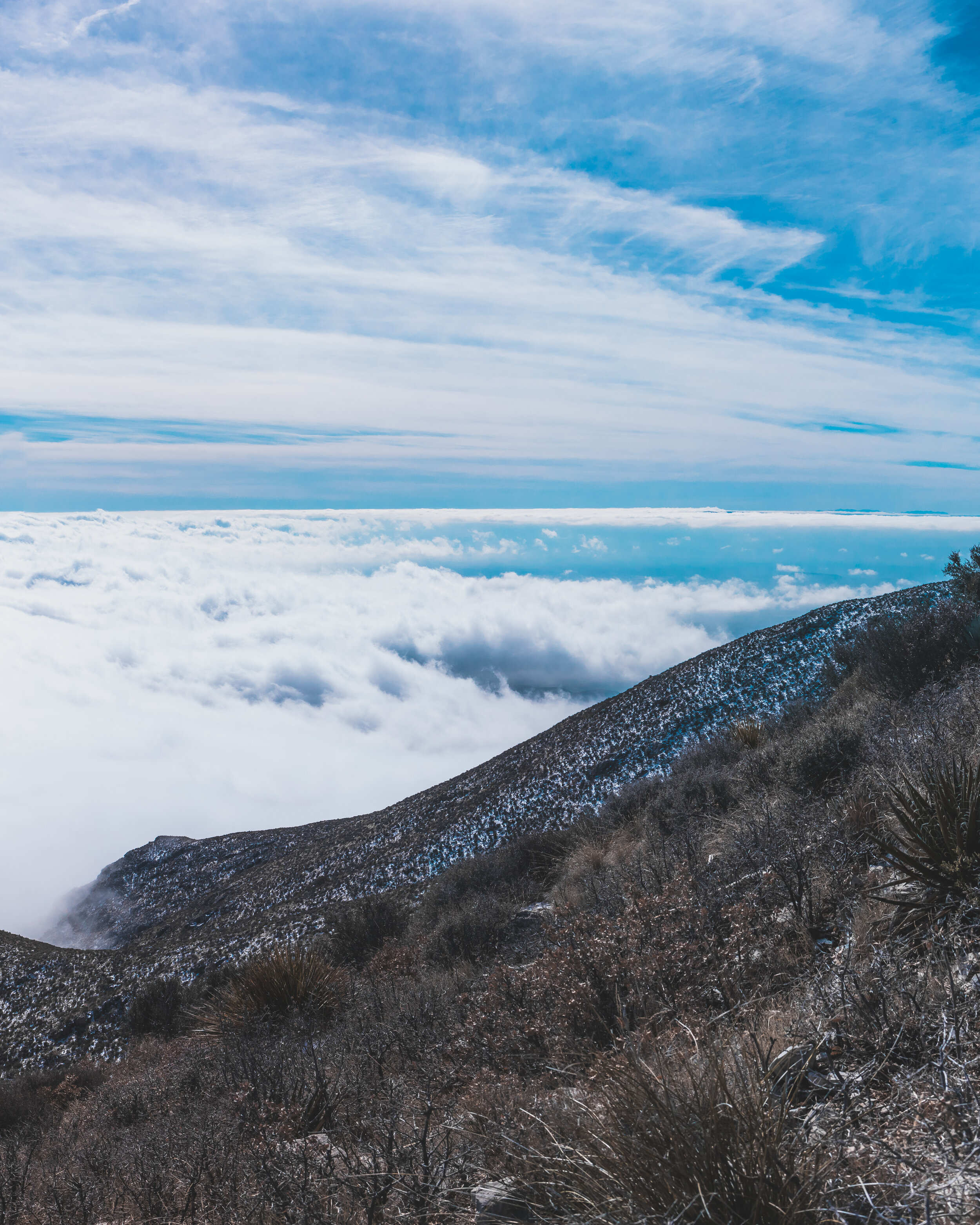 126A8876-Pano-2.jpg