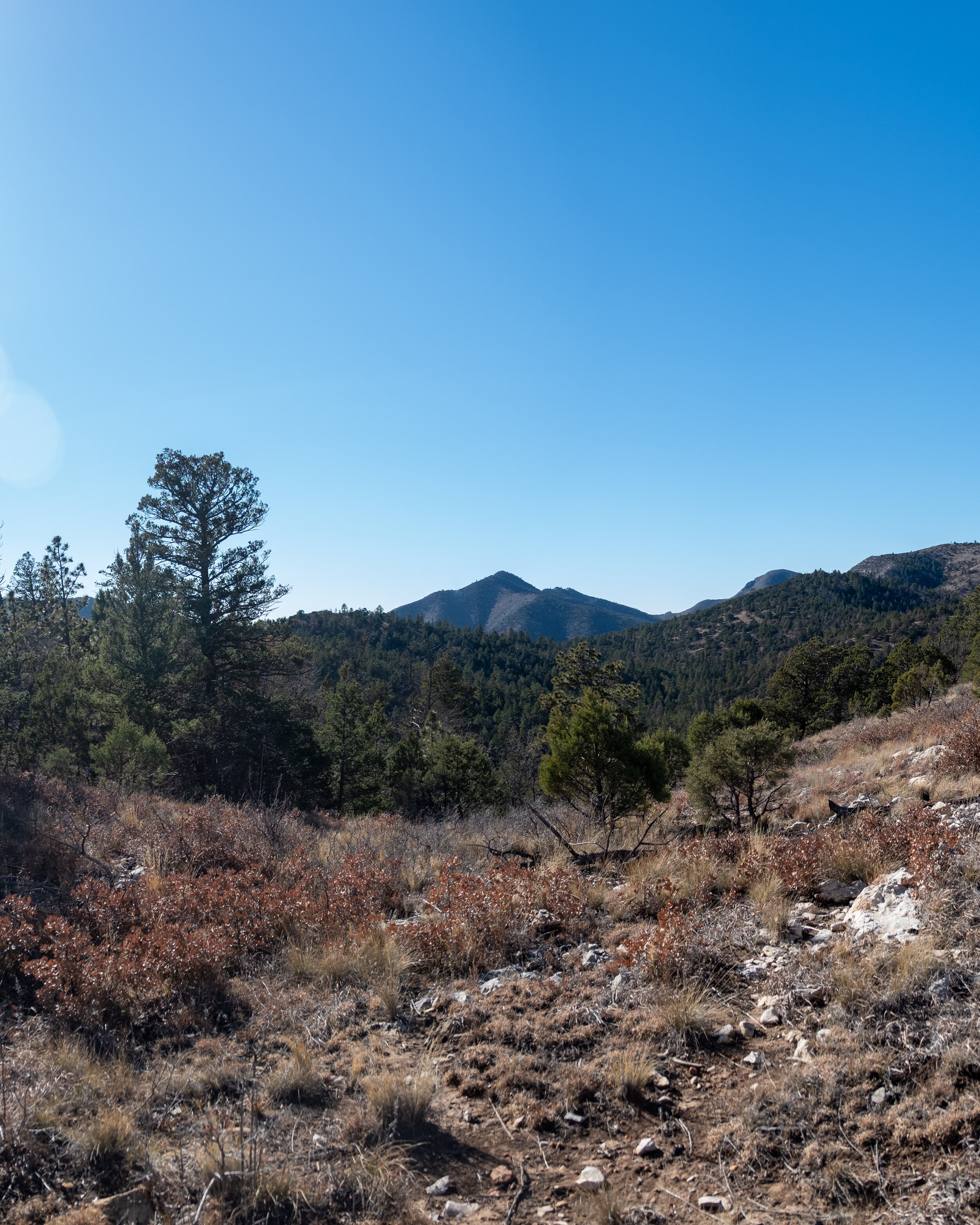 DSCF6732-Pano.jpg